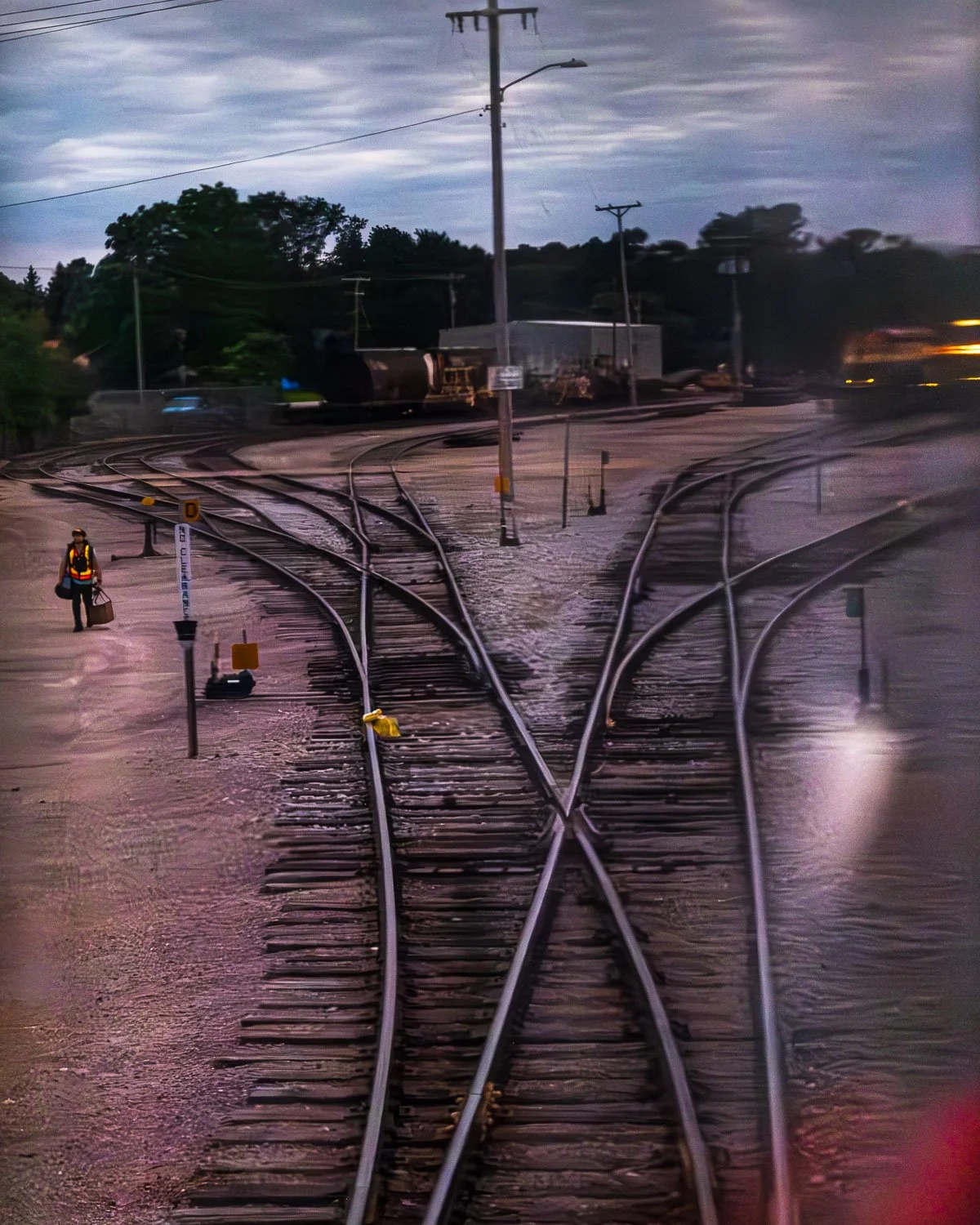 DSCF8955.jpg