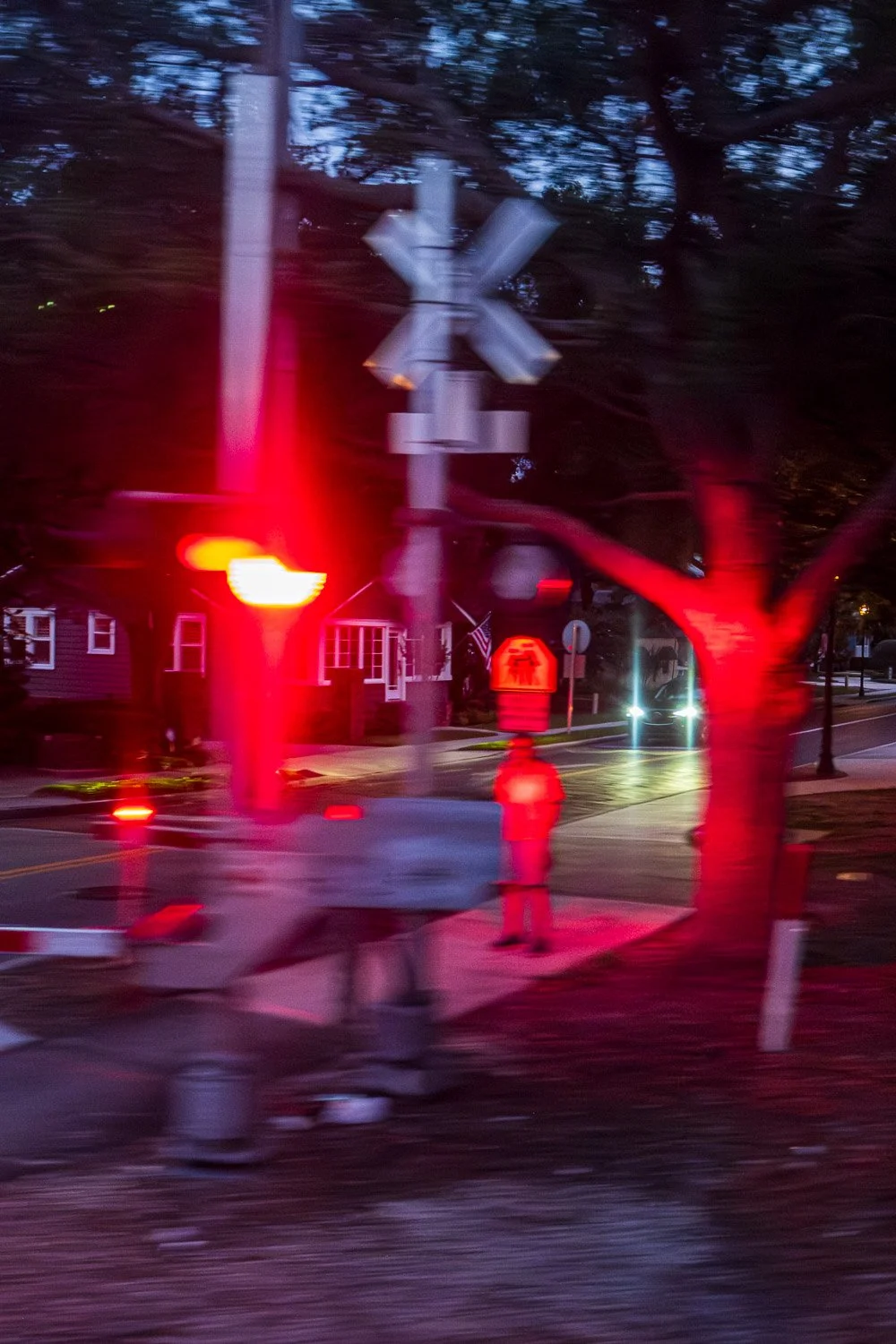 DSCF0133.jpg