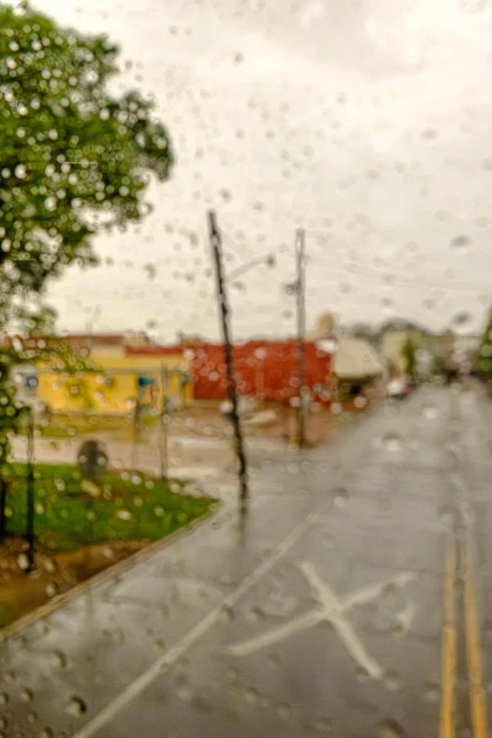 DSCF5179.jpg