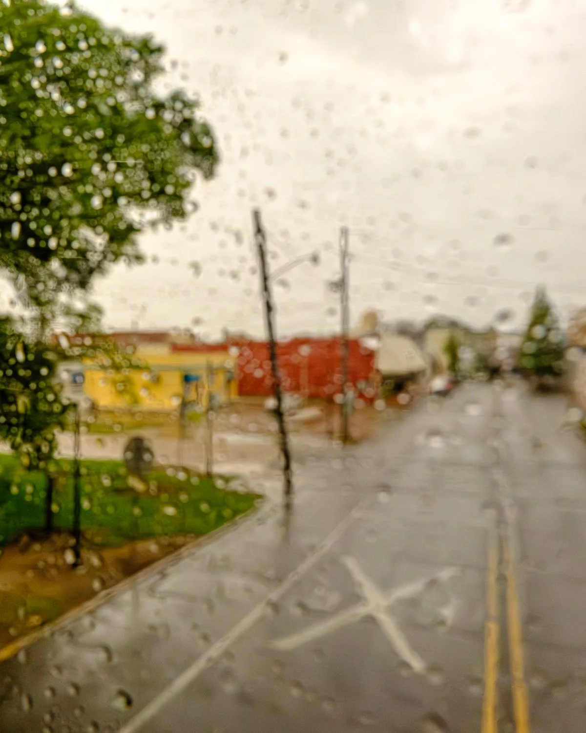 DSCF5179.jpg