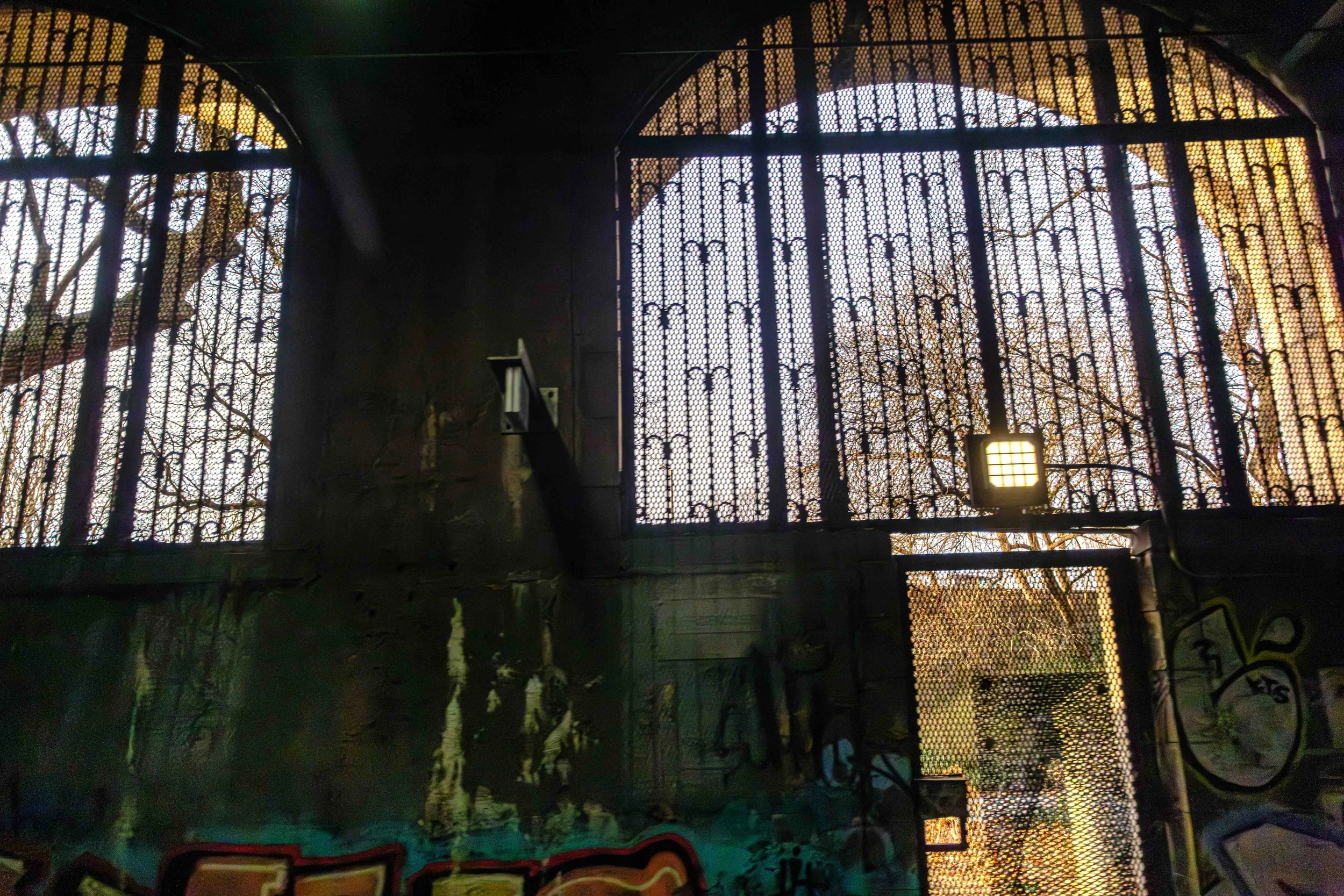 DSCF6262.jpg