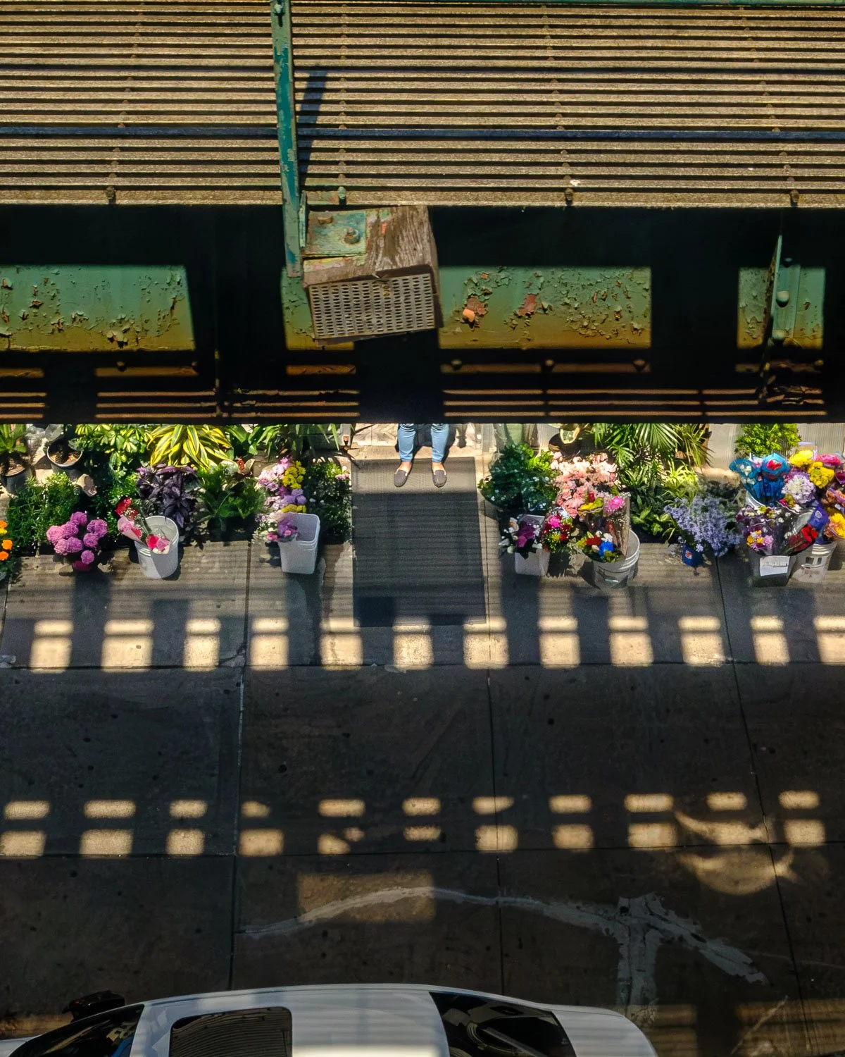 DSCF3307.jpg