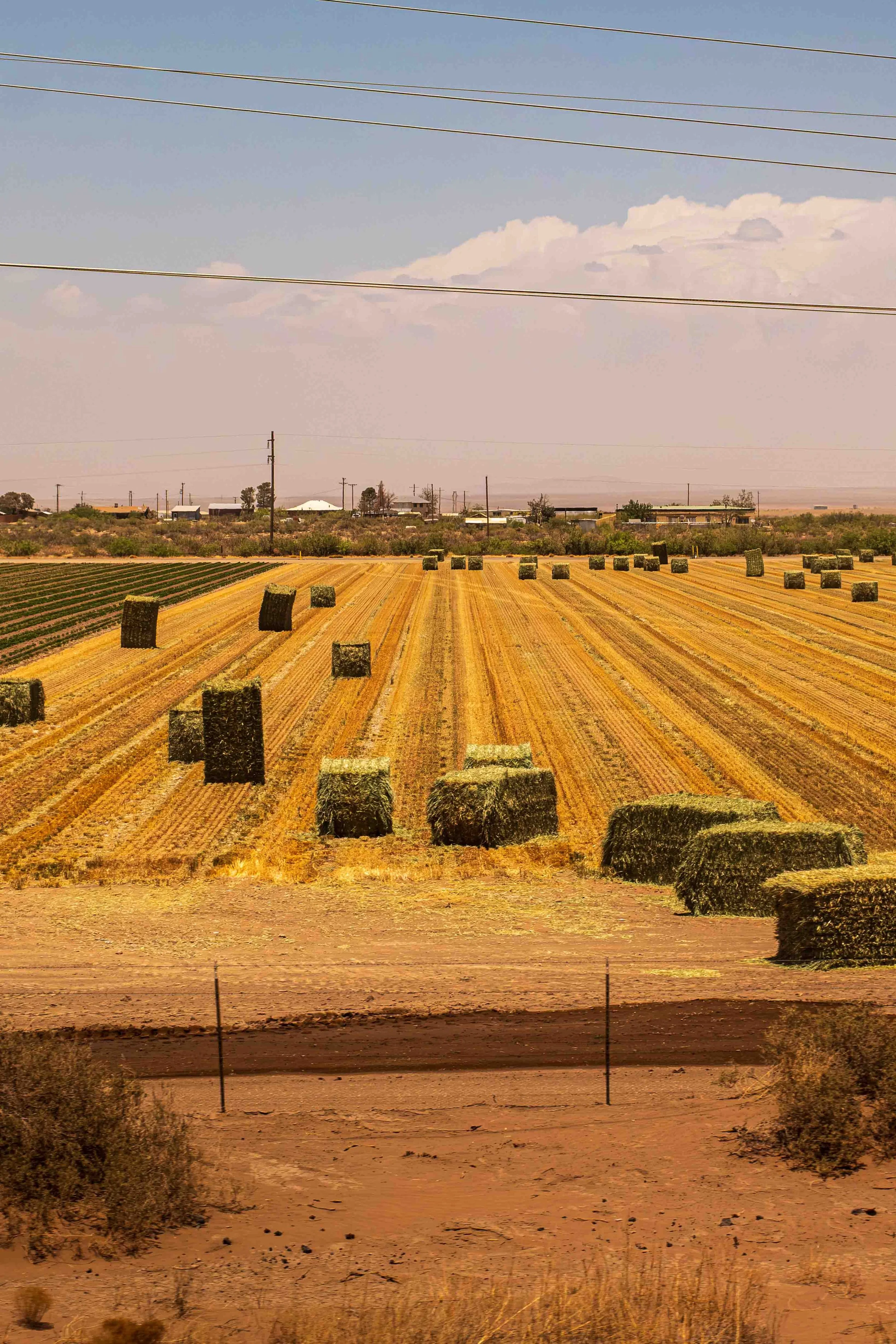 DSCF6566.jpg