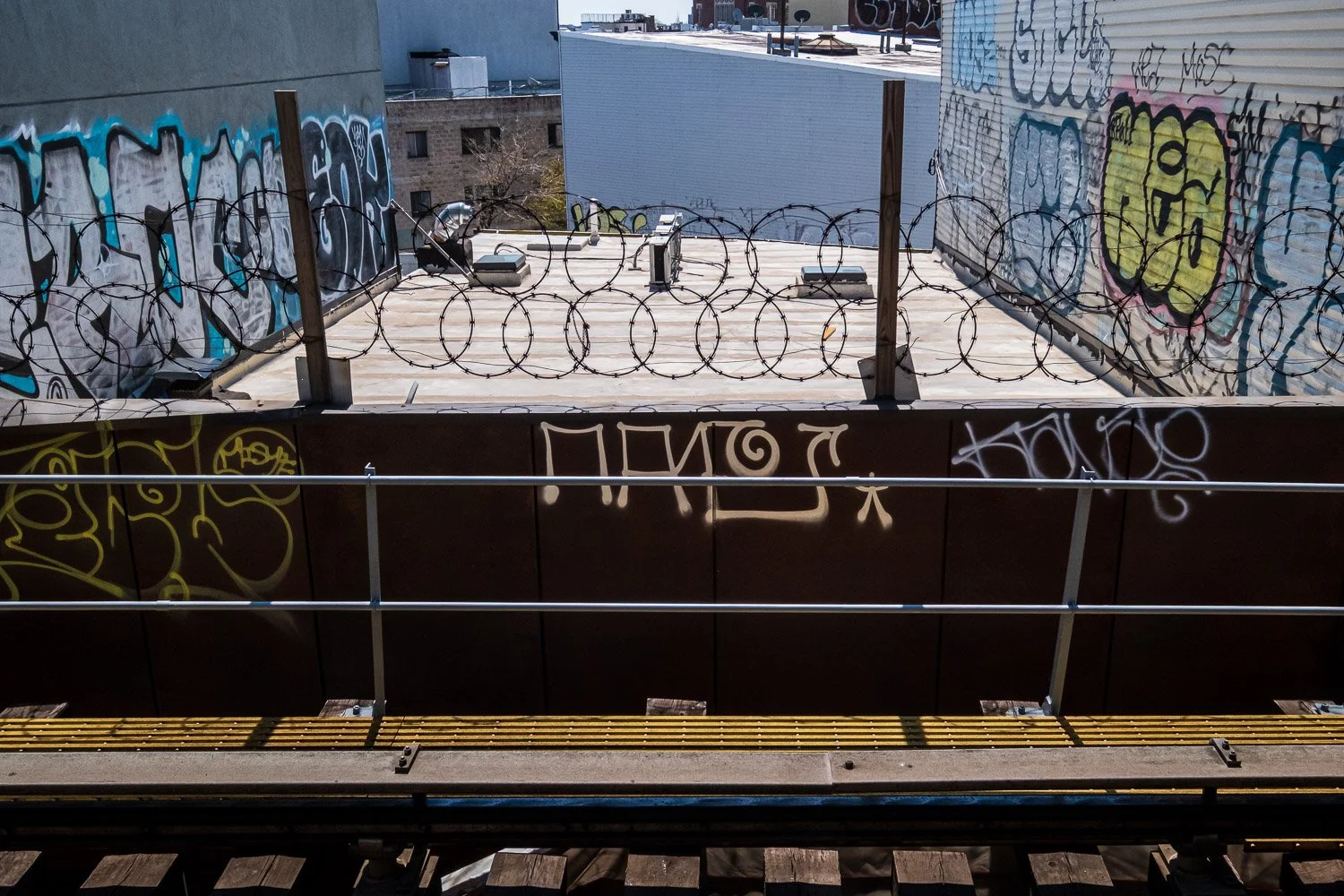 DSCF8609.jpg