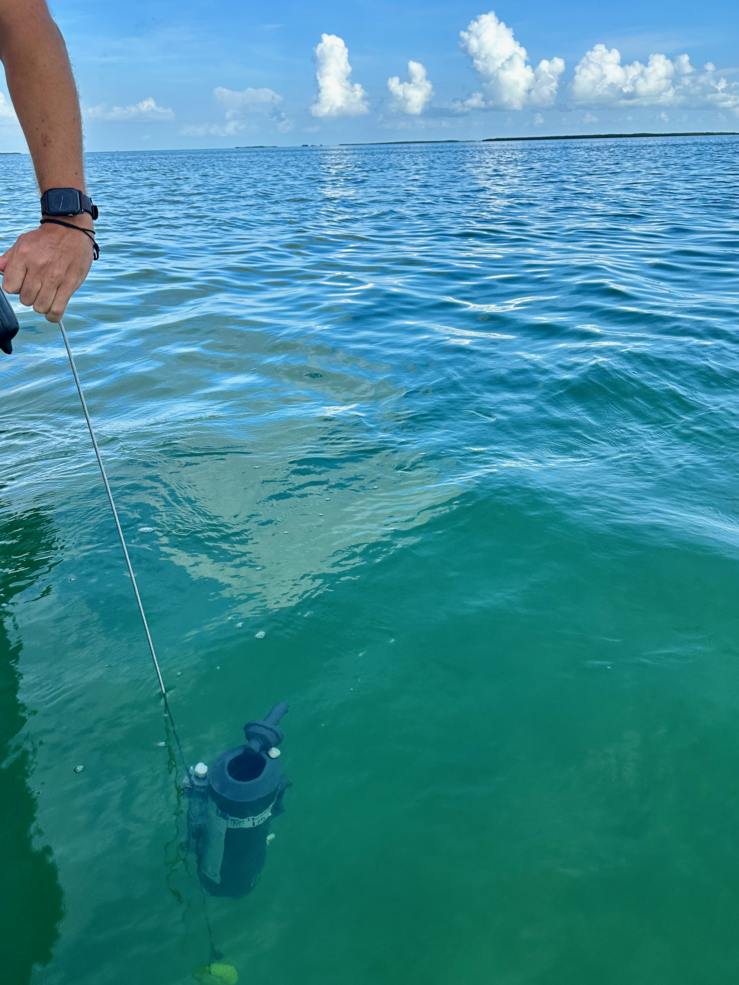 Collect water in Florida Bay using our niskin.