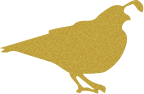 Silhouette of State Bird Gold Quail