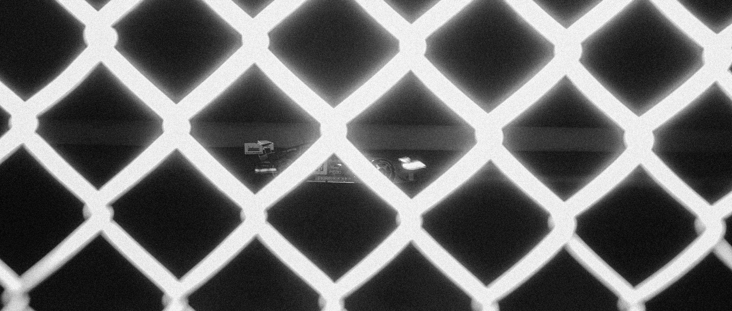 L1006495.jpg