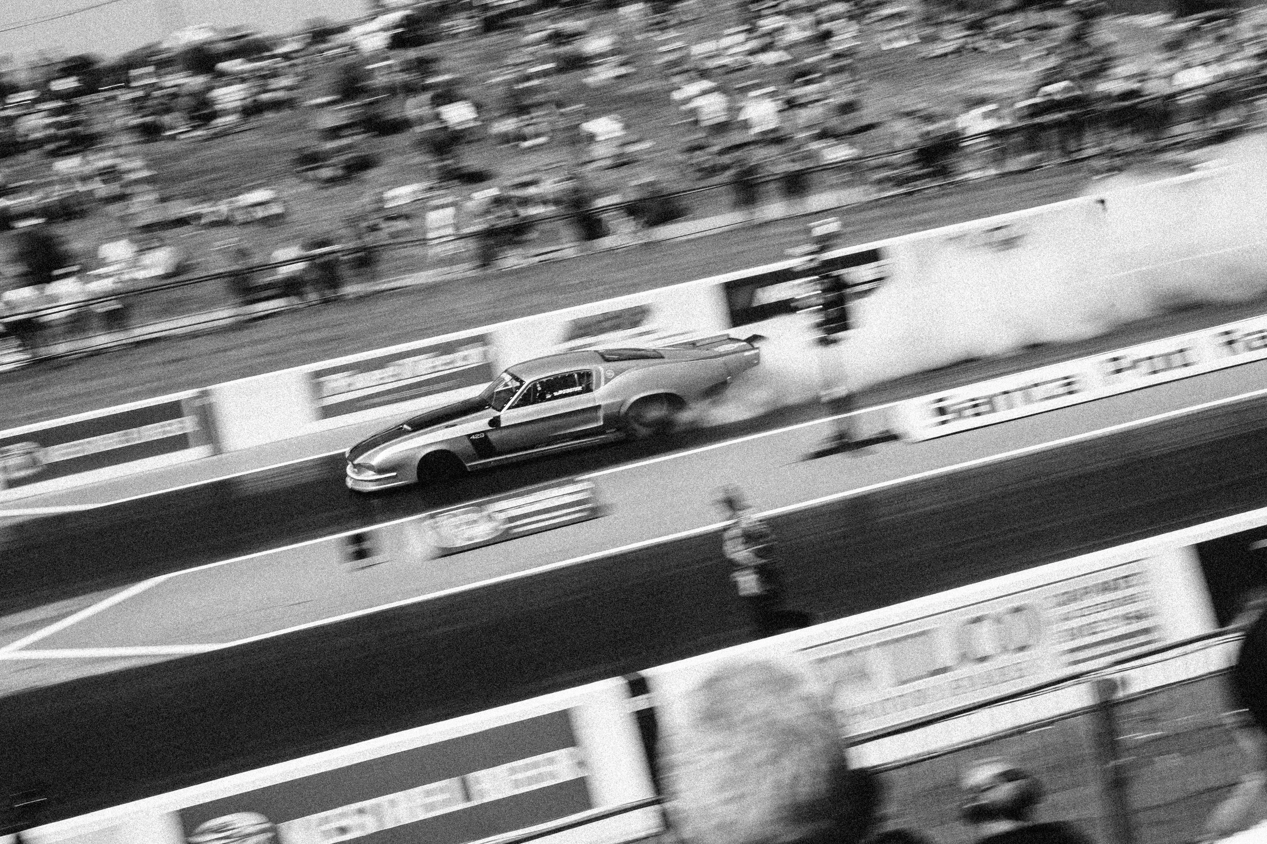 L1009722.jpg