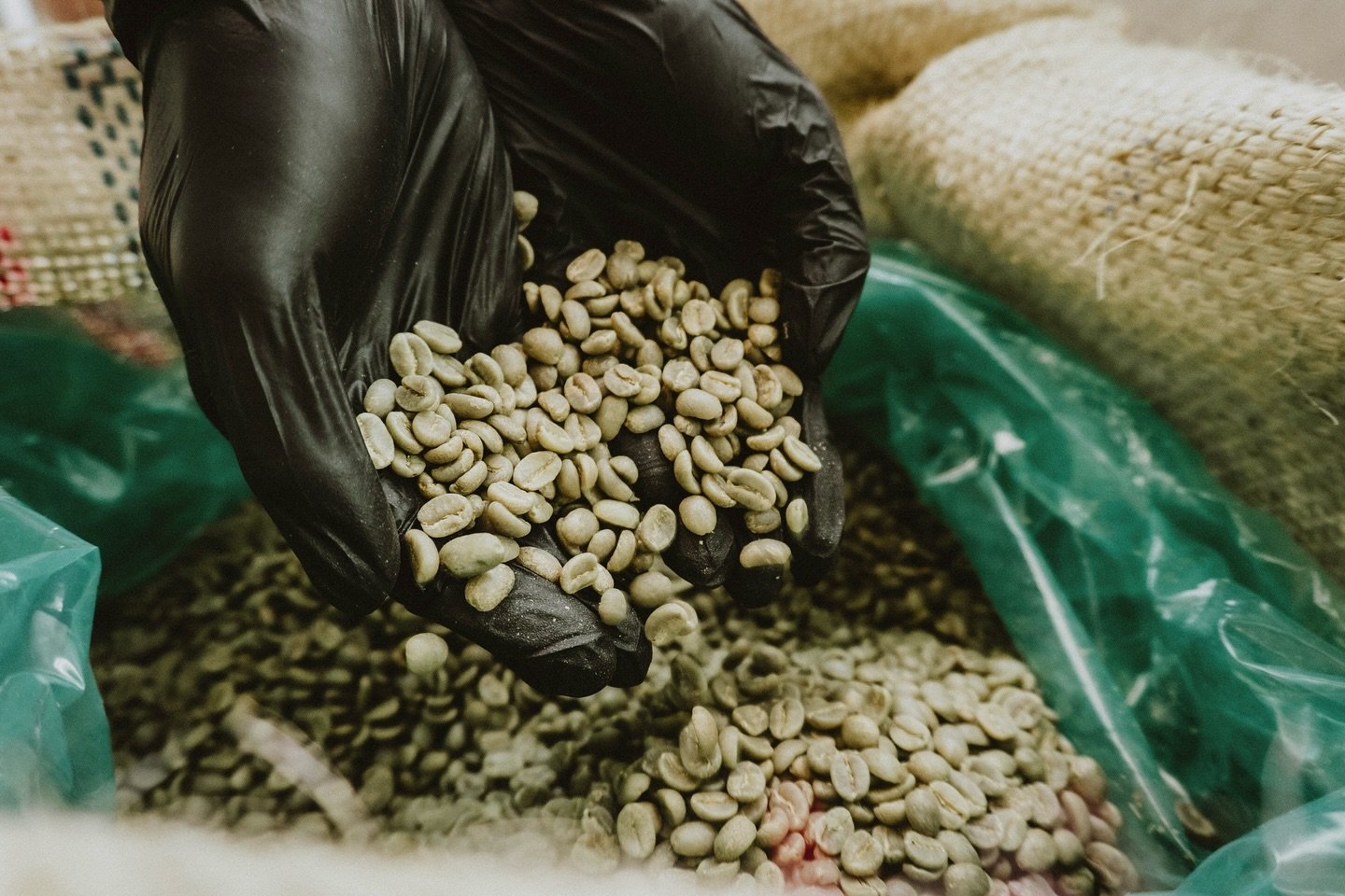 Well-trained roasting masters select the finest varieties of Arabica and Robusta beans from plantations located in extremely high altitudes, renowned for their clean air and rich subsoil. Once we receive green coffee beans that have been certified fo