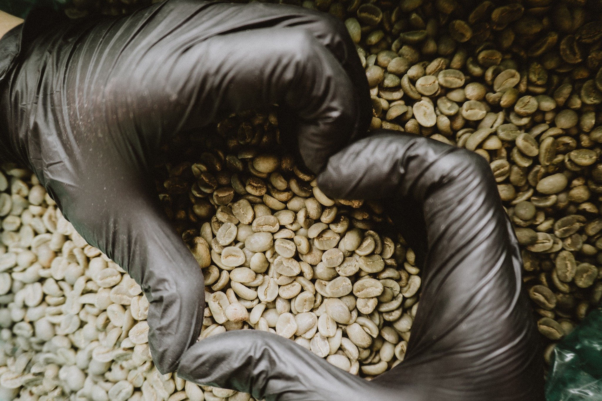 &Eta; Espresso Da Vinci &epsilon;&pi;&iota;&lambda;έ&gamma;&epsilon;&iota; &tau;&iota;&sigmaf; &pi;&iota;&omicron; &xi;&epsilon;&chi;&omega;&rho;&iota;&sigma;&tau;έ&sigmaf; &pi;&omicron;&iota;&kappa;&iota;&lambda;ί&epsilon;&sigmaf; &kappa;&alpha;&phi