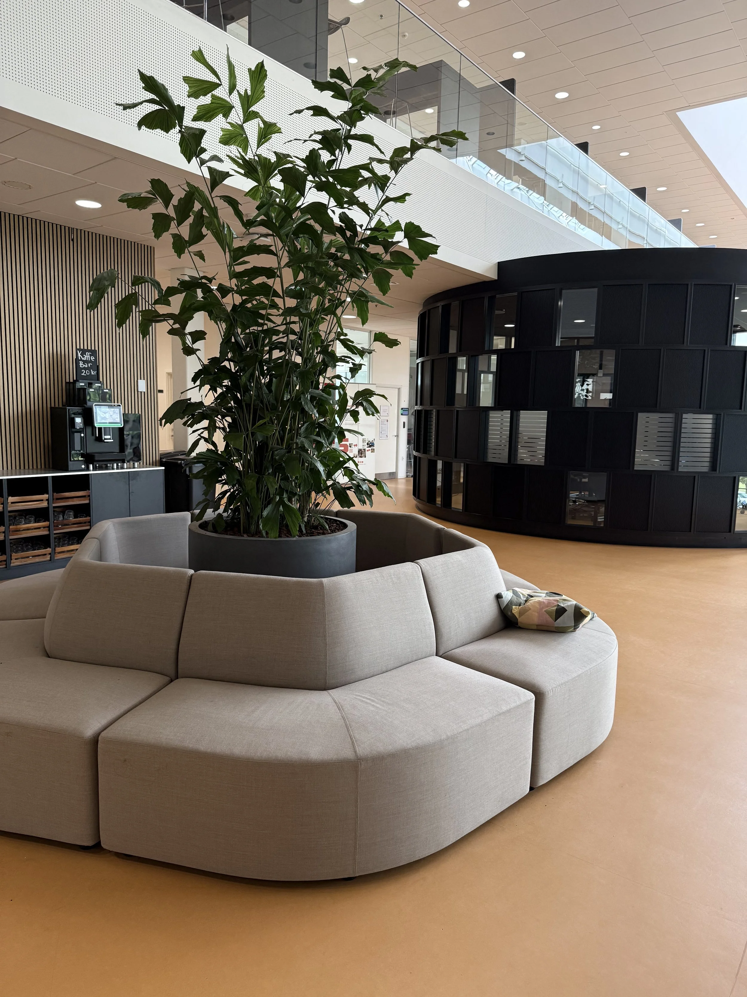 Billede 16.06.2025, 12.54.14.jpg