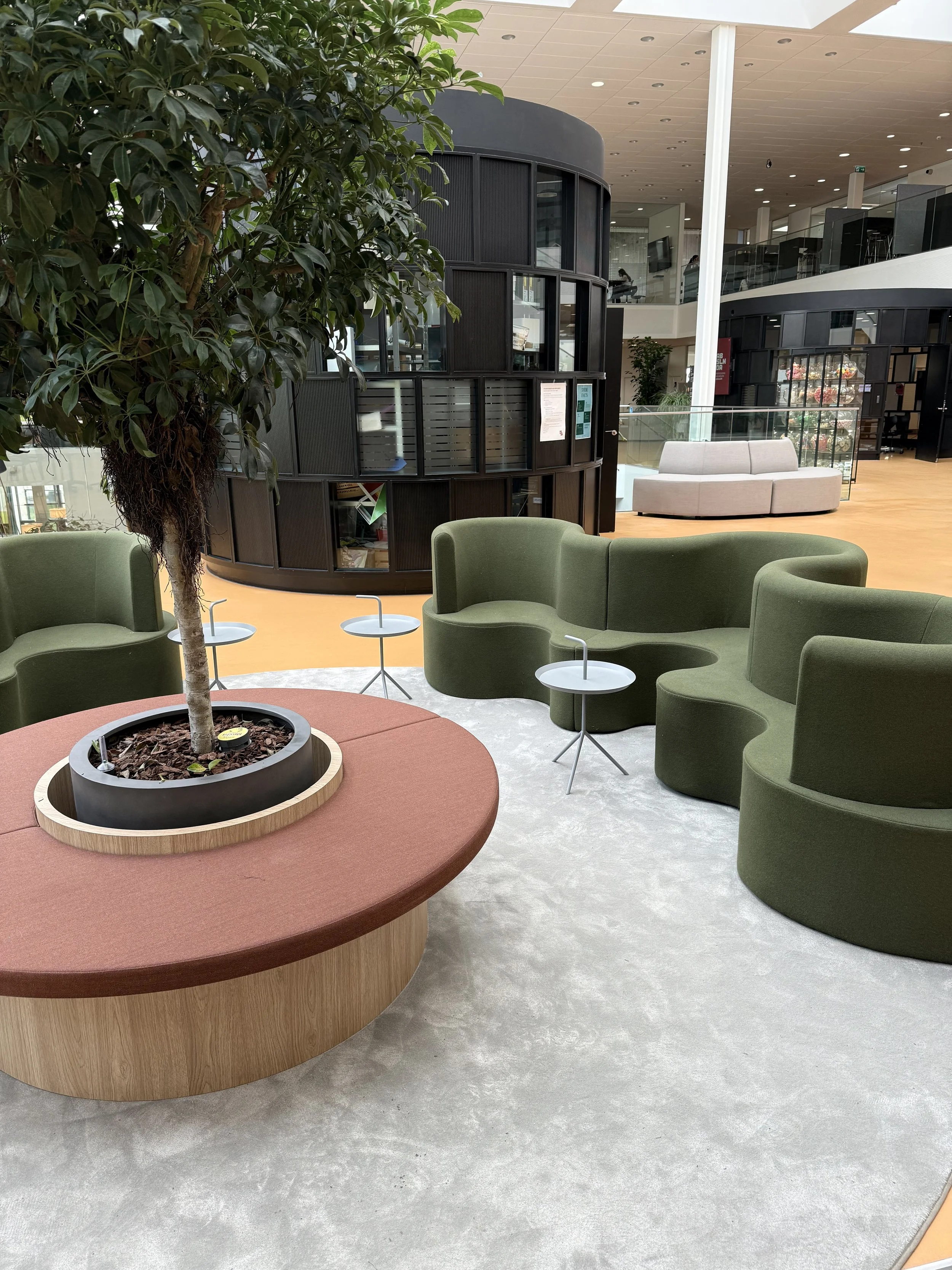 Billede 16.06.2025, 14.25.53.jpg