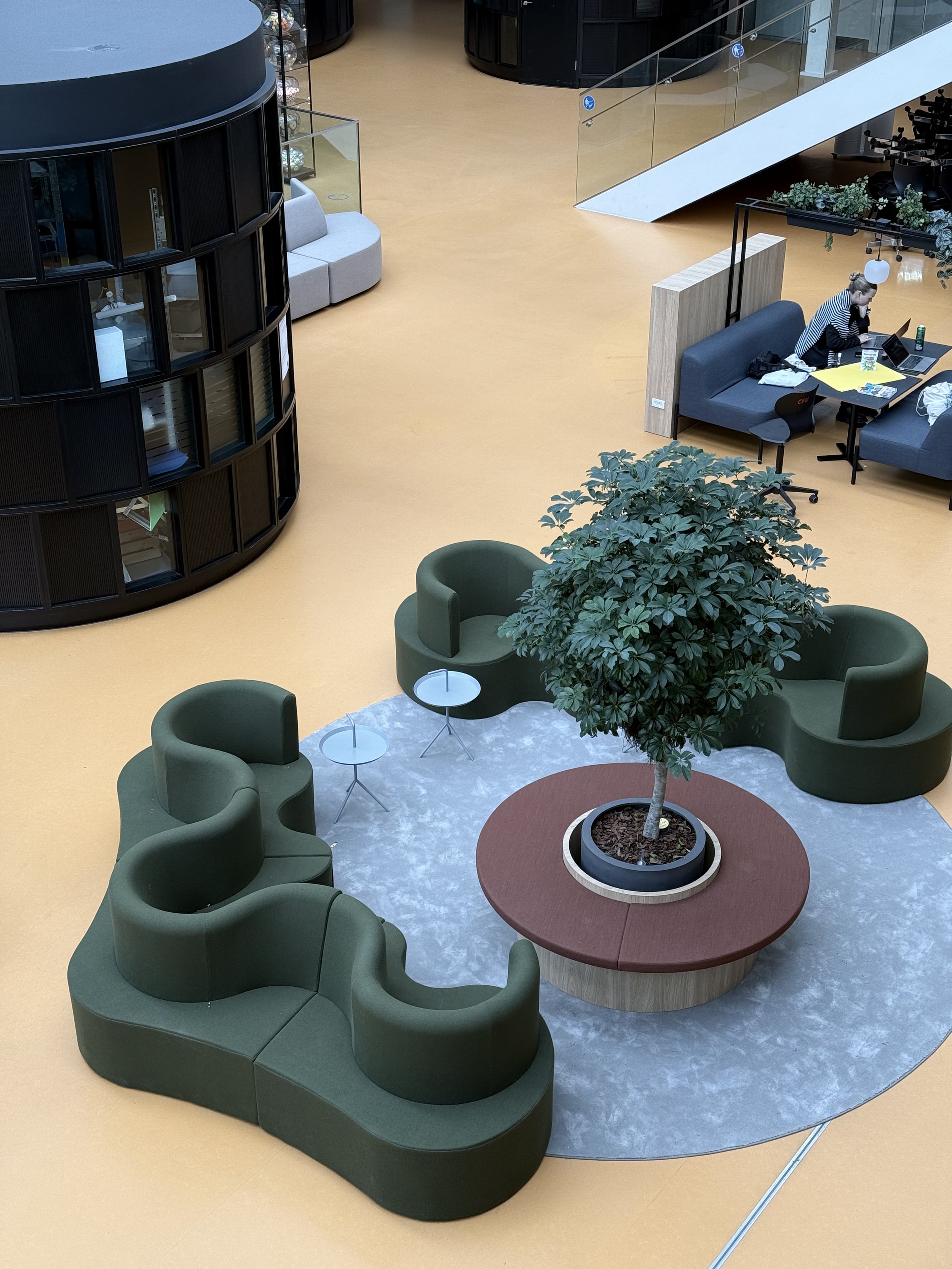 Billede 16.06.2025, 13.09.10.jpg