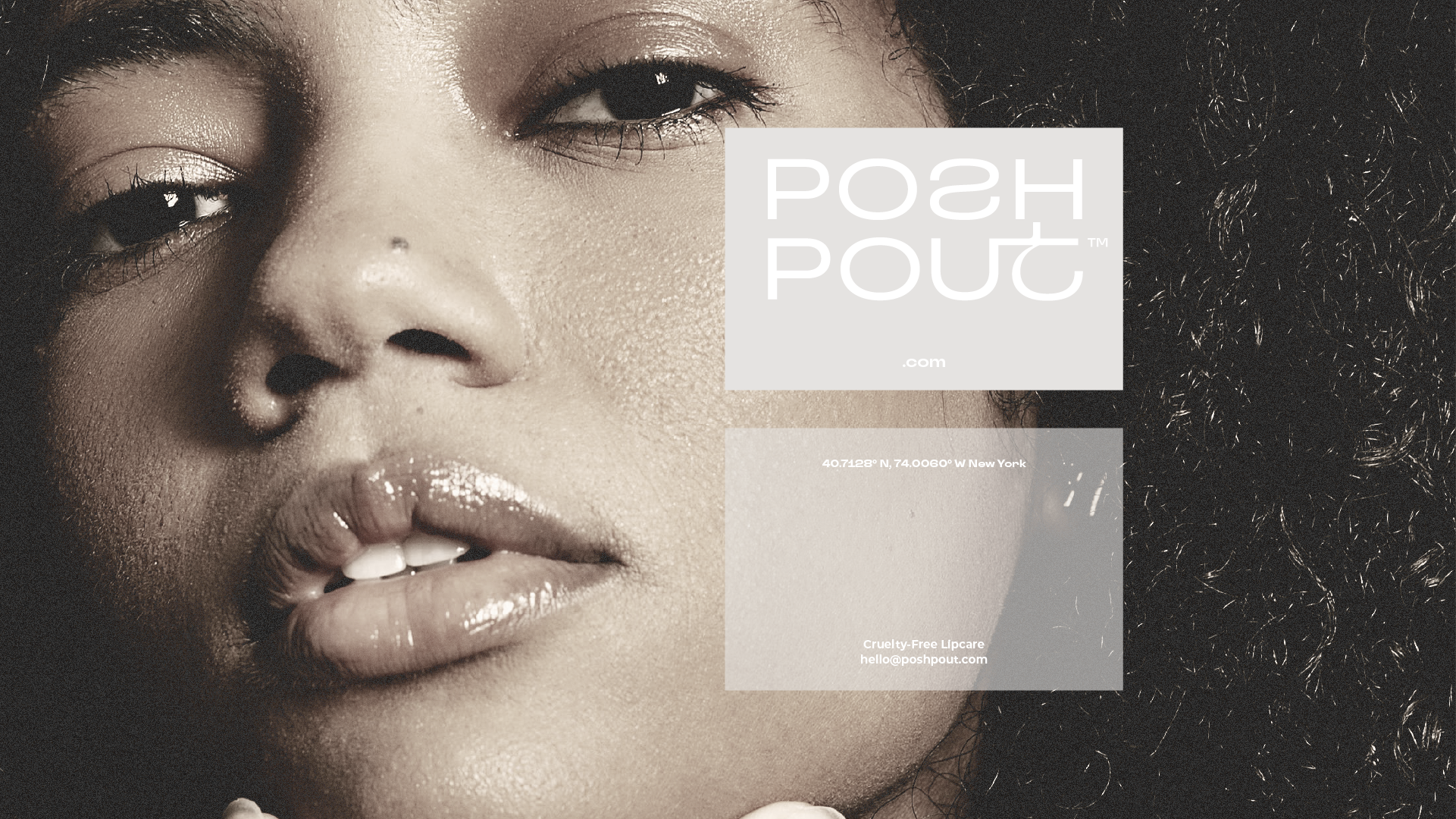 OF_24.4_P5_Posh_Pout_PortfArtboard 21 copy 3.png
