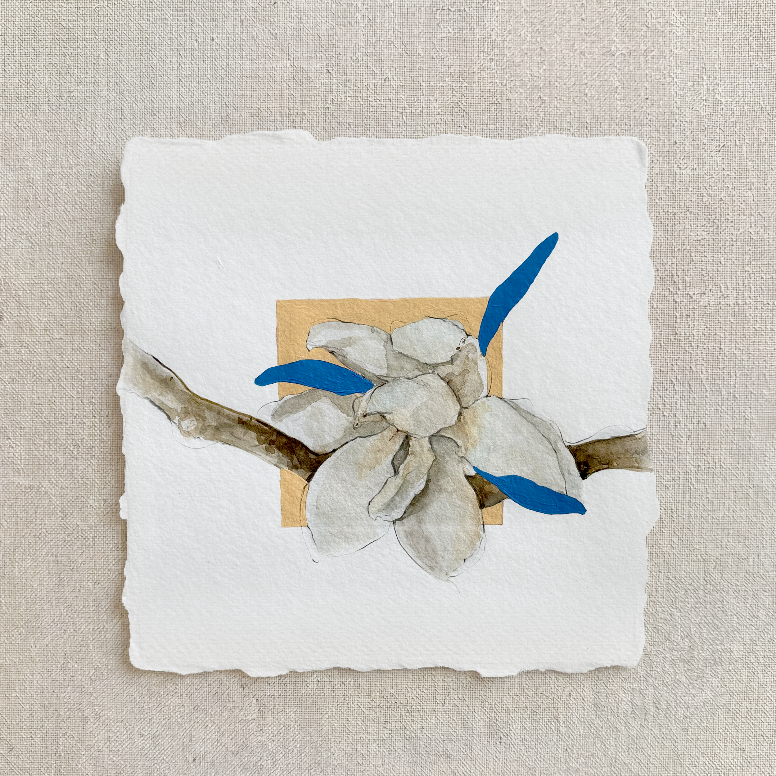 Magnolia 001: Peak & Release