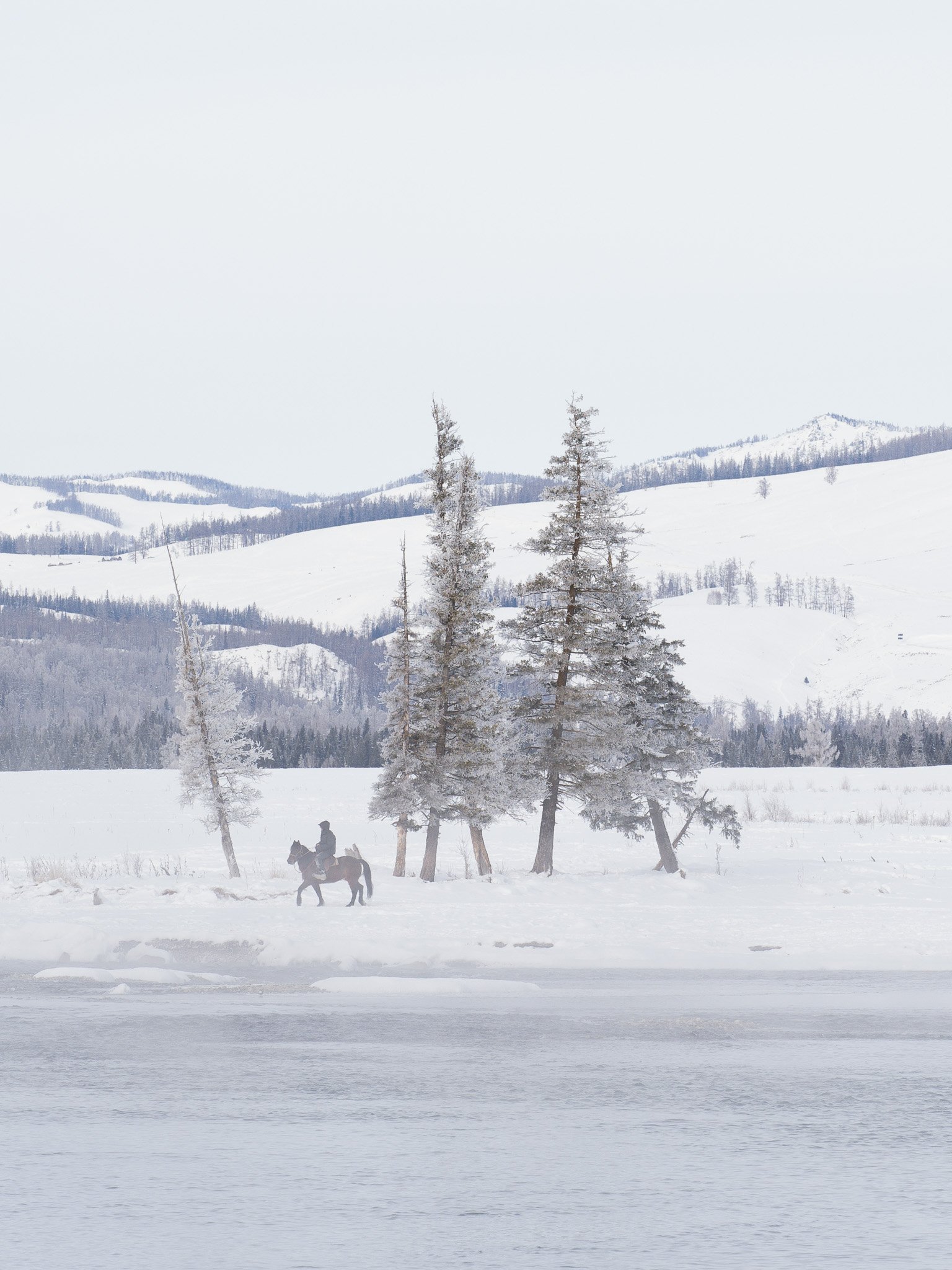 horse riding over.jpg