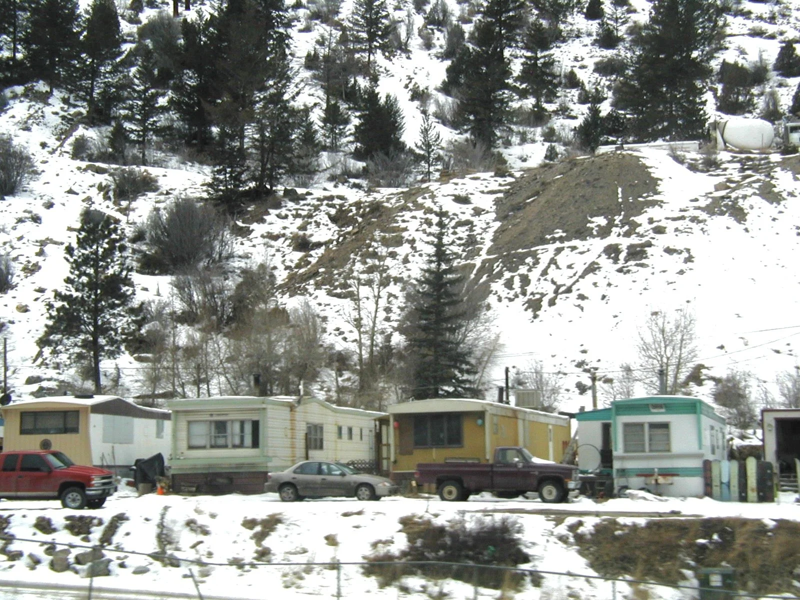 P1010065.jpg
