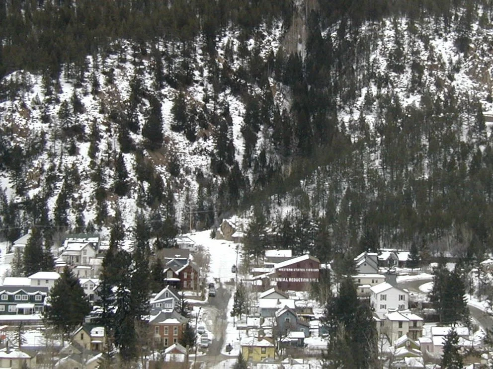 P1010085.jpg
