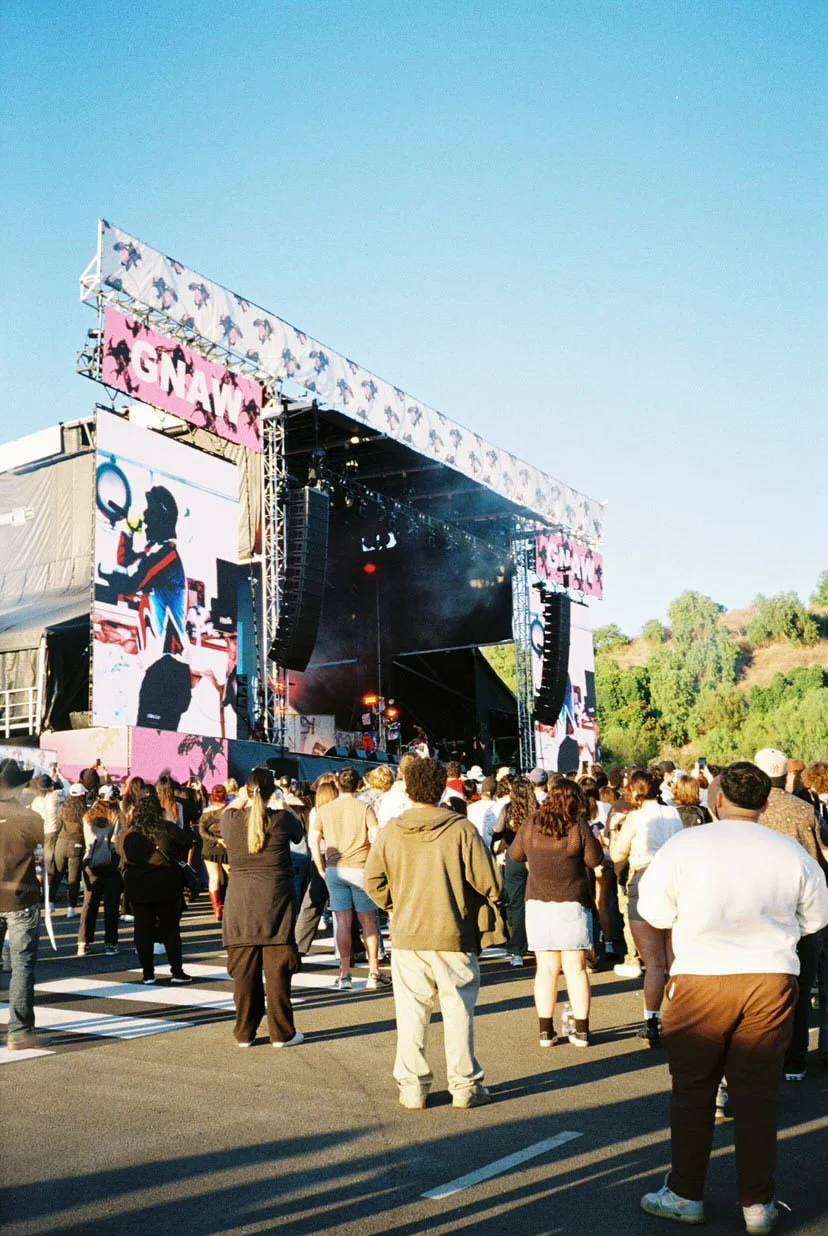 Jasmine K Lopez Vieyra