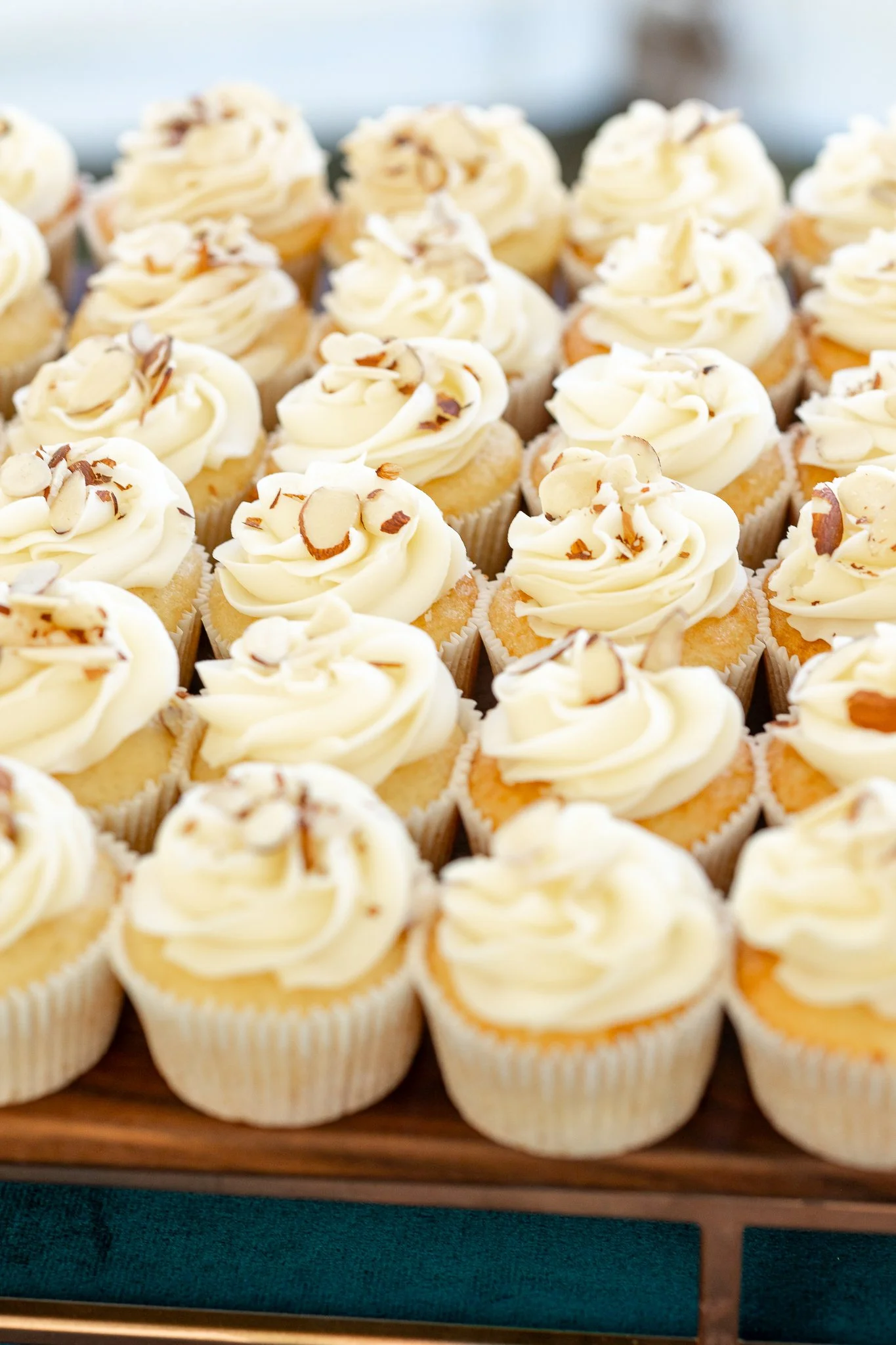 8.3.24 Natalie + Paul Reception-22.jpg