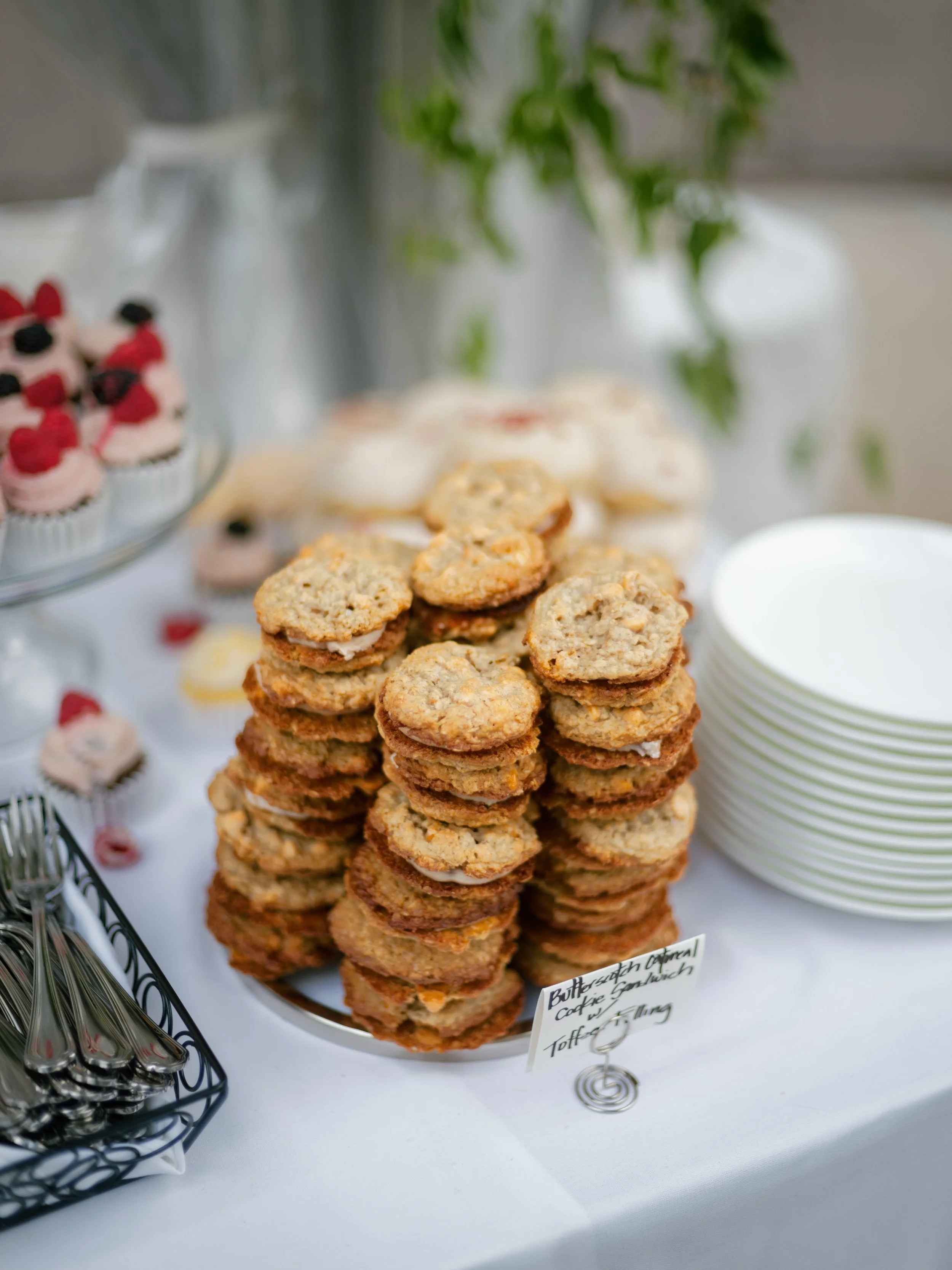 Lizzy _26 PJ -_-552.jpg