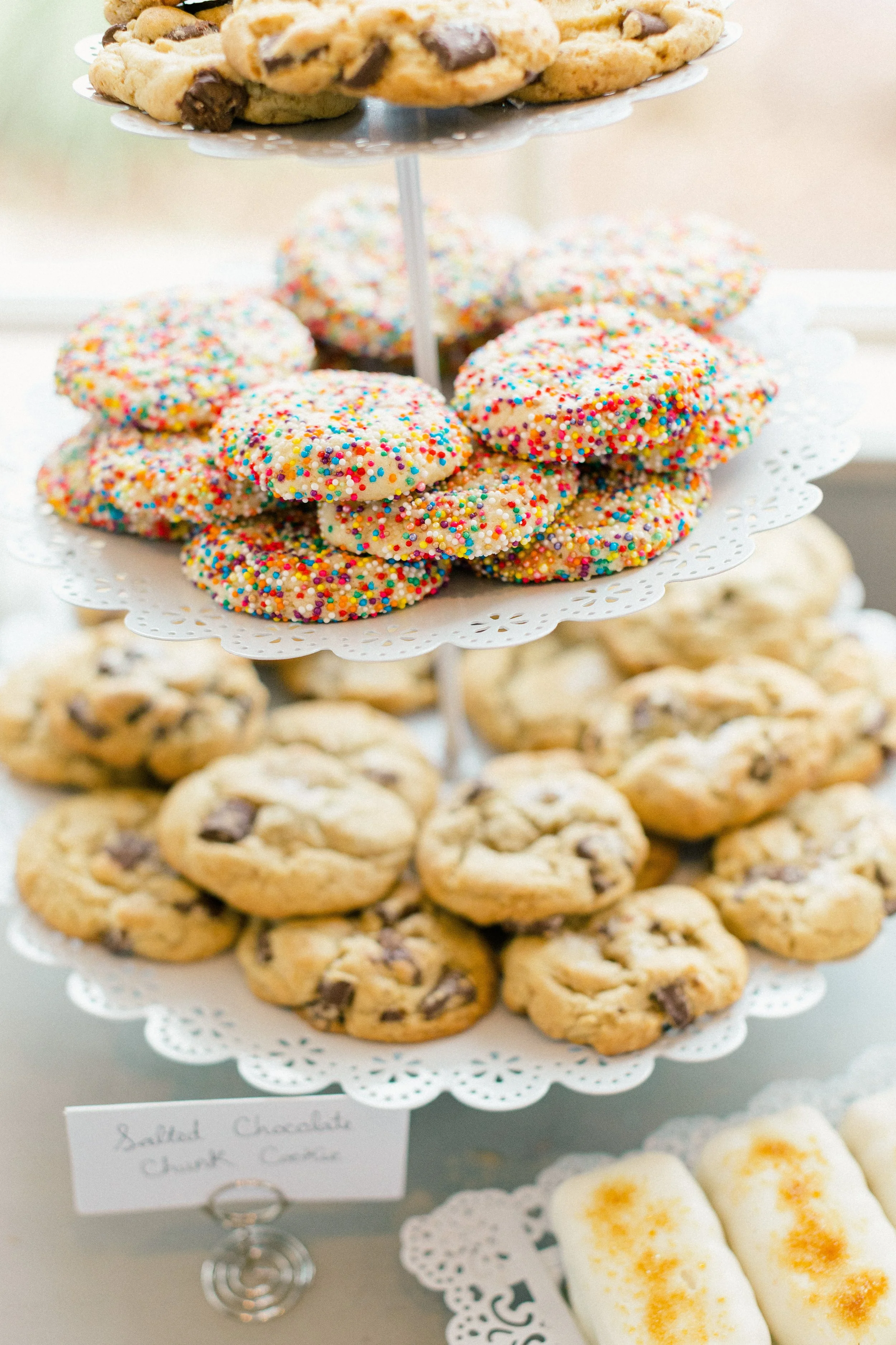 Whitworth - Hampton Wedding - Reception-33.jpg