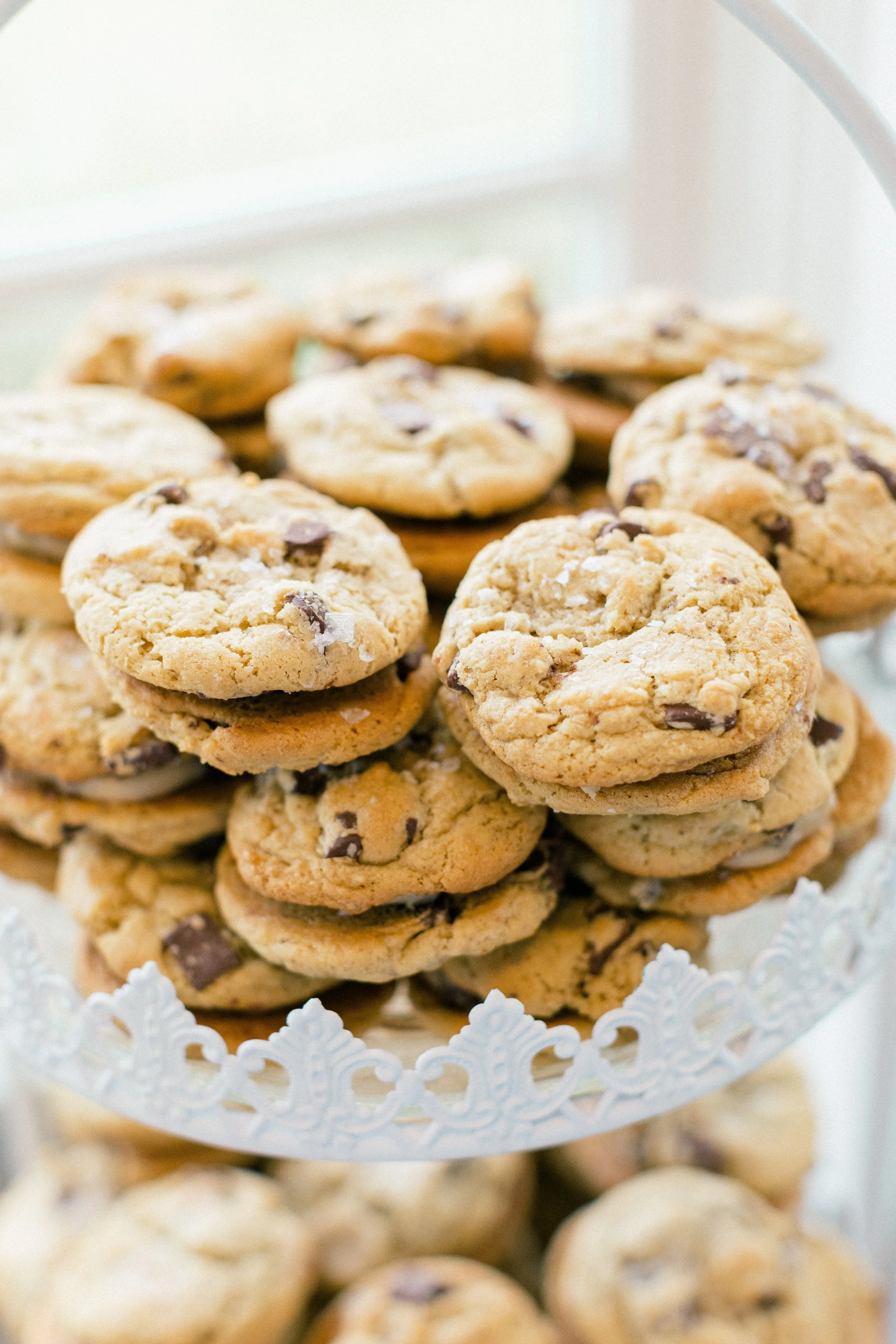 Whitworth - Hampton Wedding - Reception-37.jpg