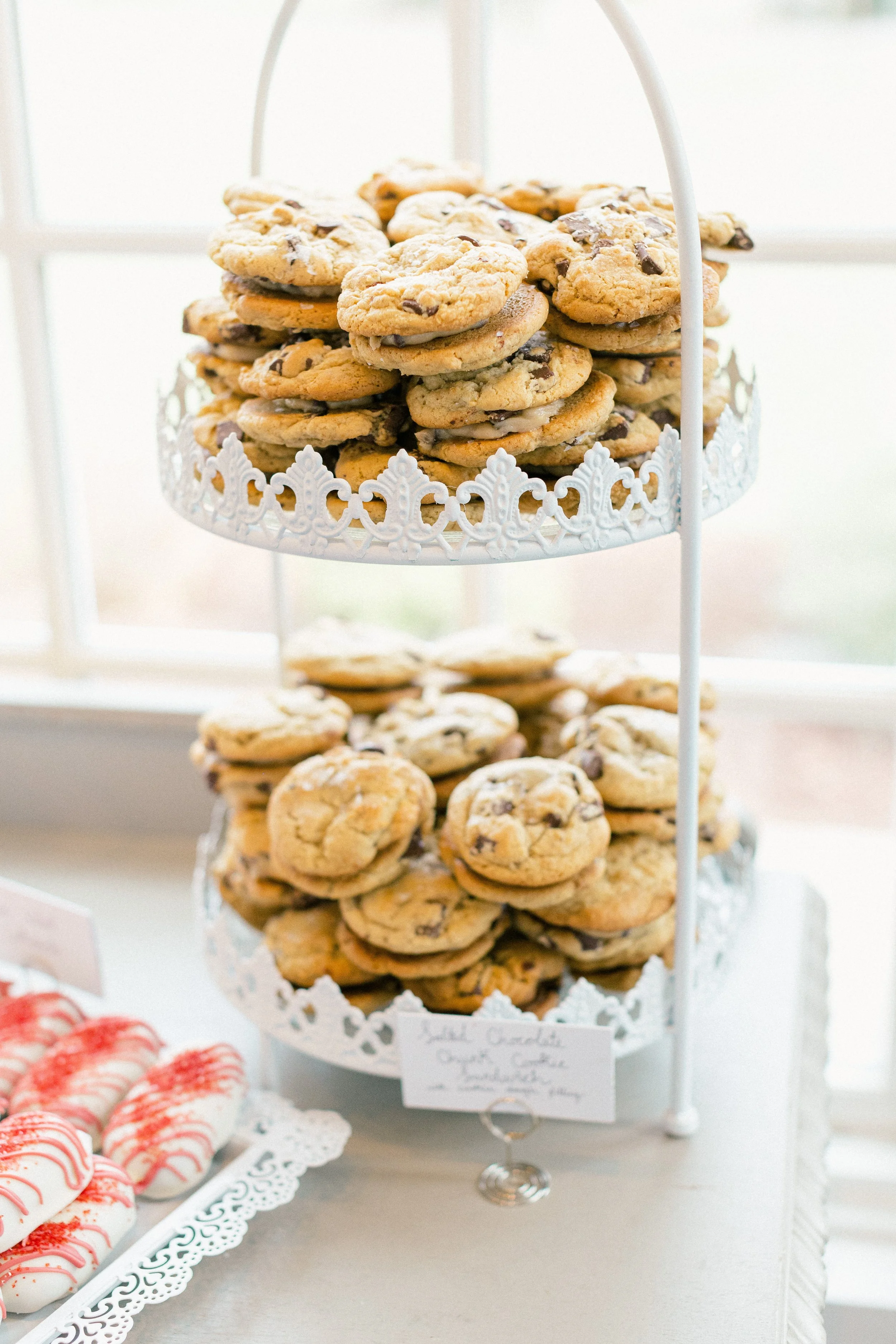 Whitworth - Hampton Wedding - Reception-38.jpg