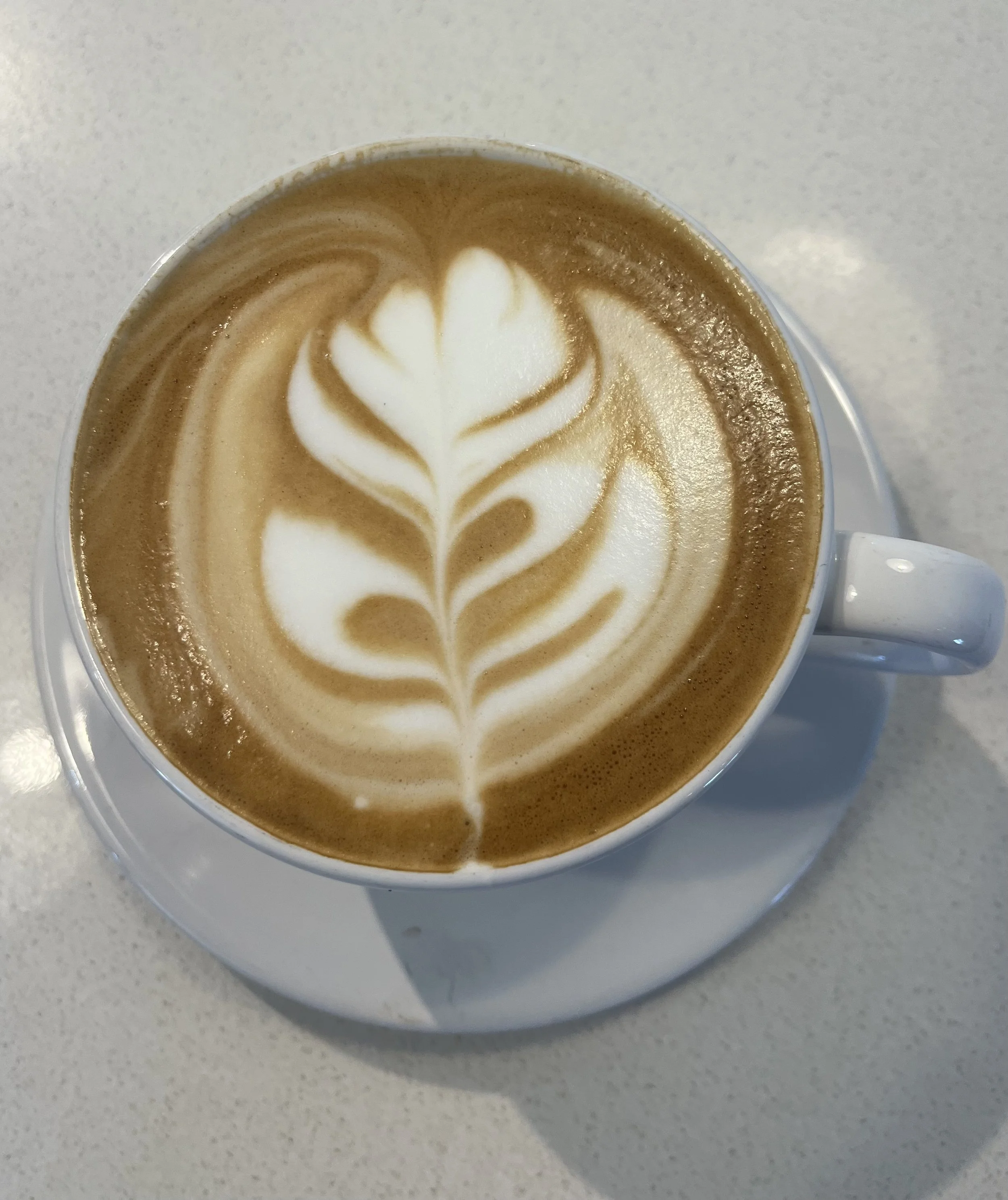 Young Adults Connect