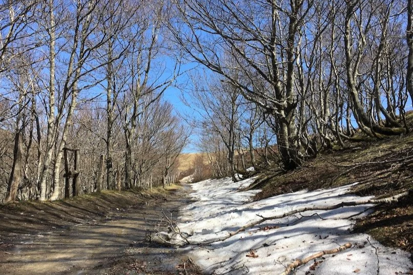 Groundhog Day: stepping away from trying to be chosen, towards choosing the work to continue