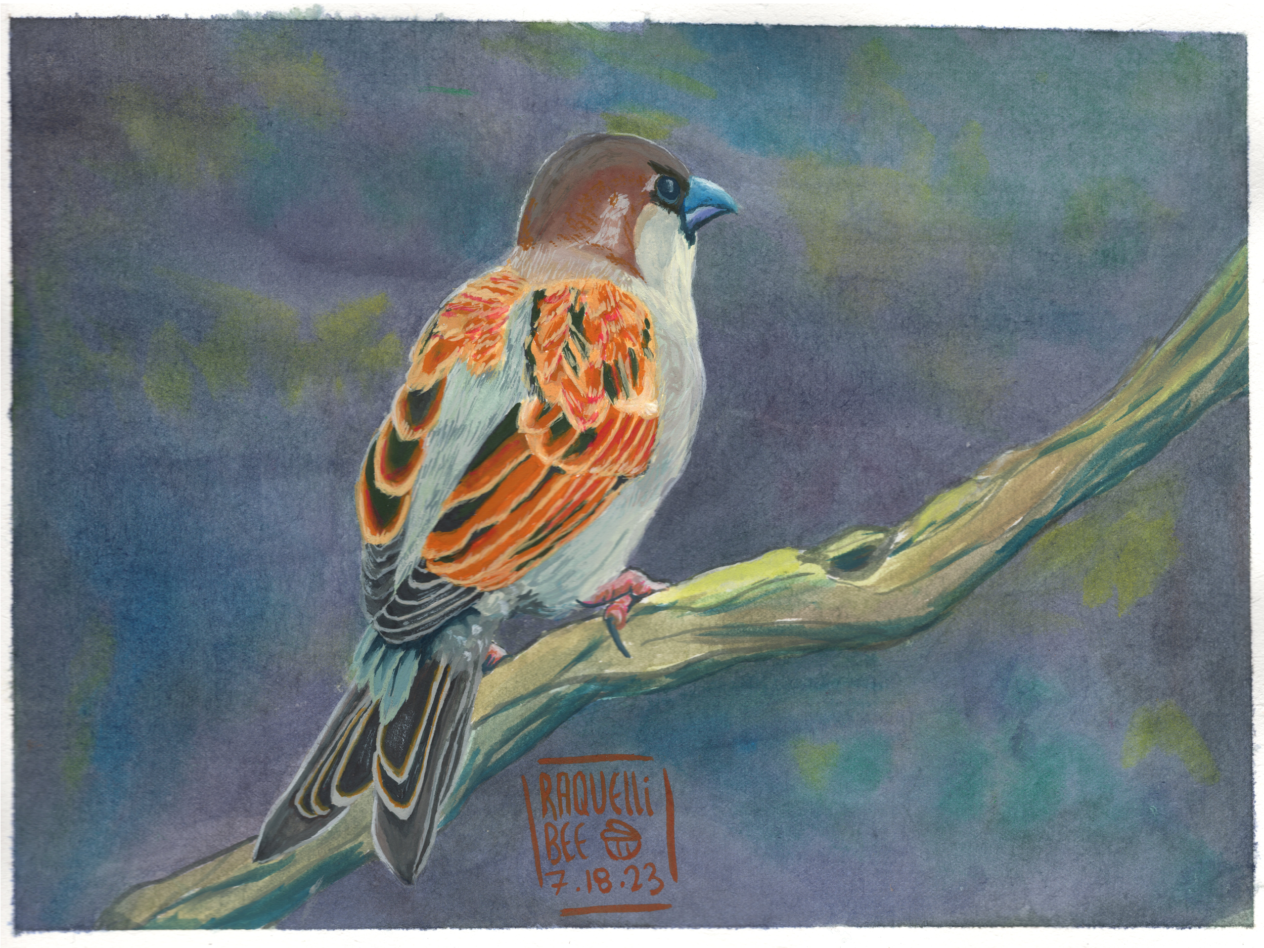 bird_swallow web .png