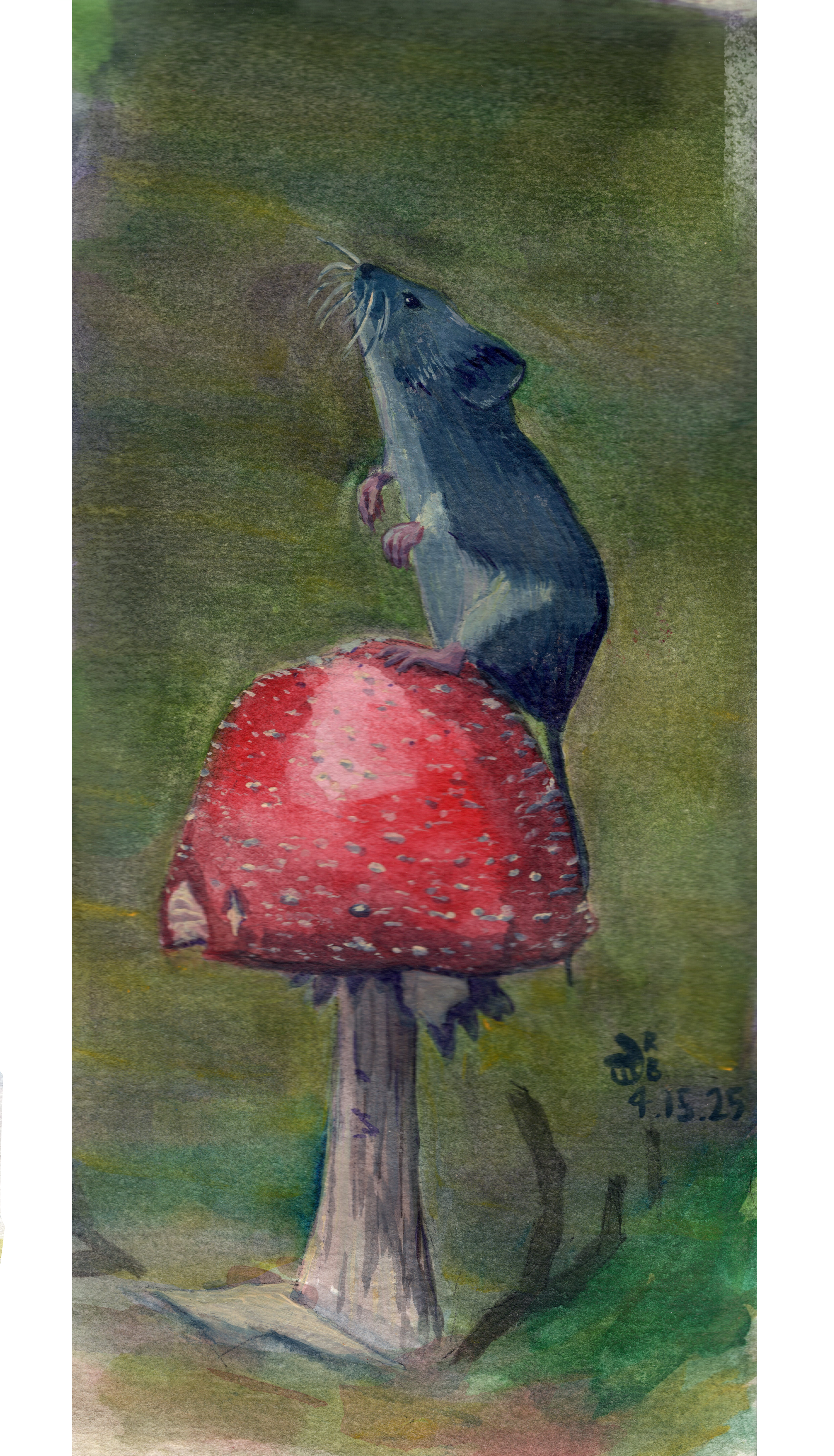 mouse_mushroom web.png