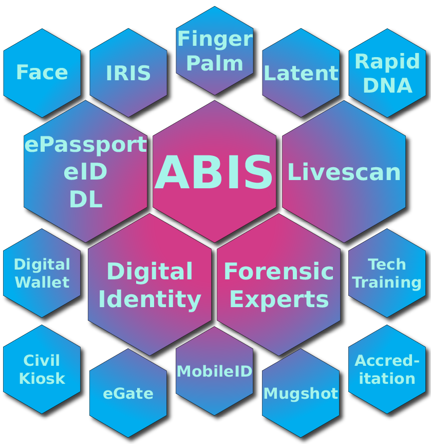 BCP services and sectors map illustrating the Dual Lens methodology applied to ABIS, Digital Identity, and Forensic Experts, supported by Tech Training, Lab Accreditation, and global Identity programs.