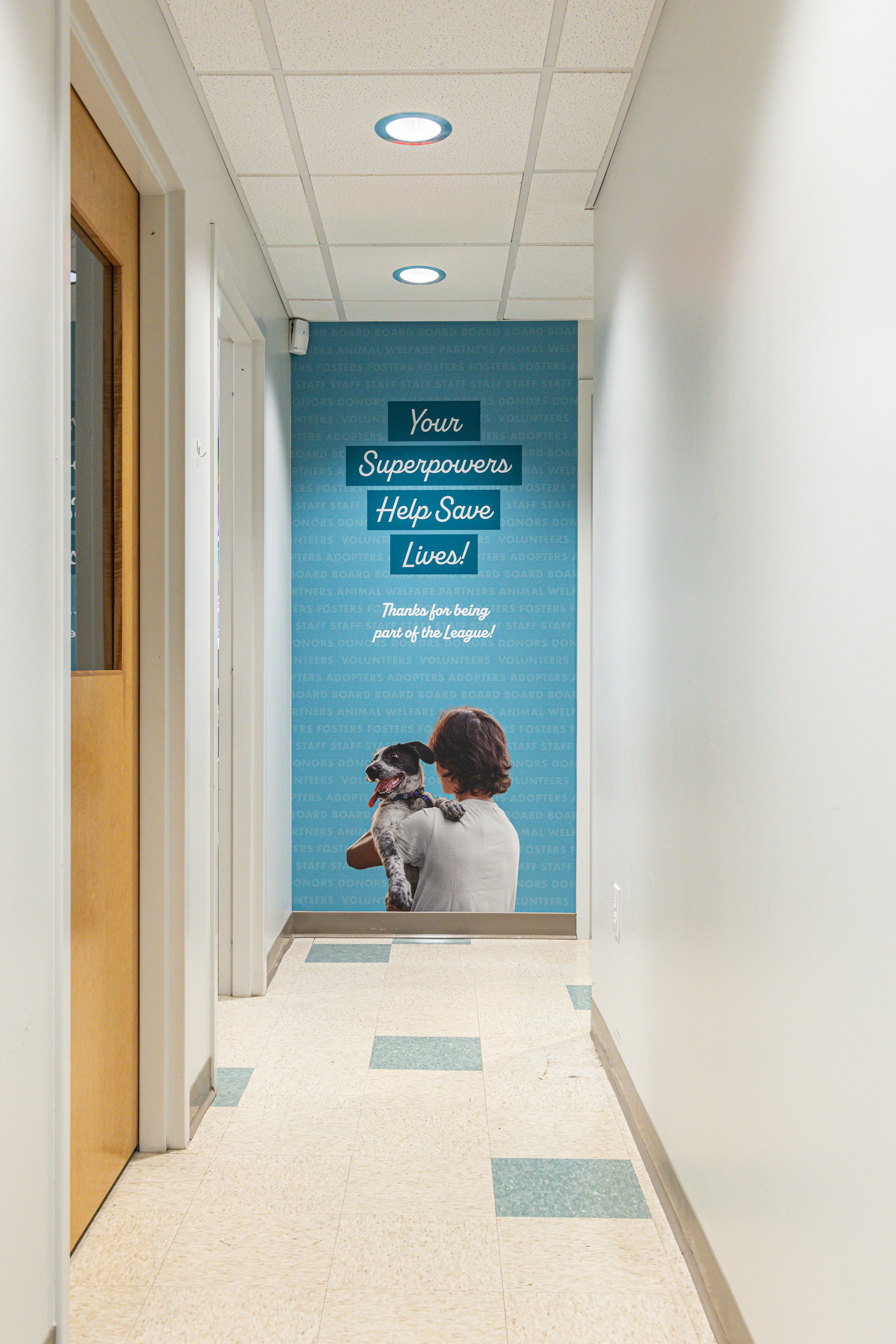 Richmond Animal League: Heartfelt Visuals for the Super Heroes of ...