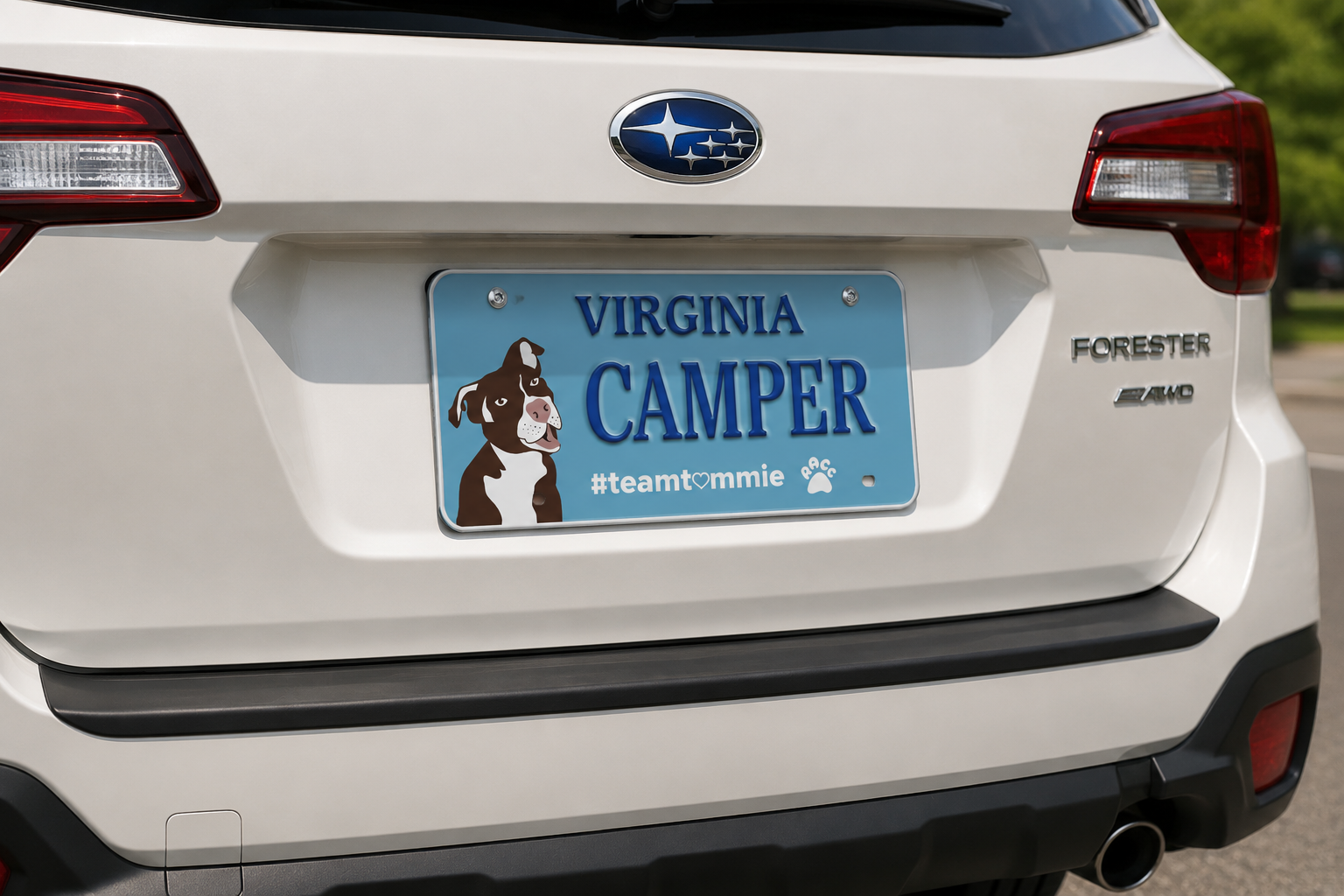 RACC team tommie license plate