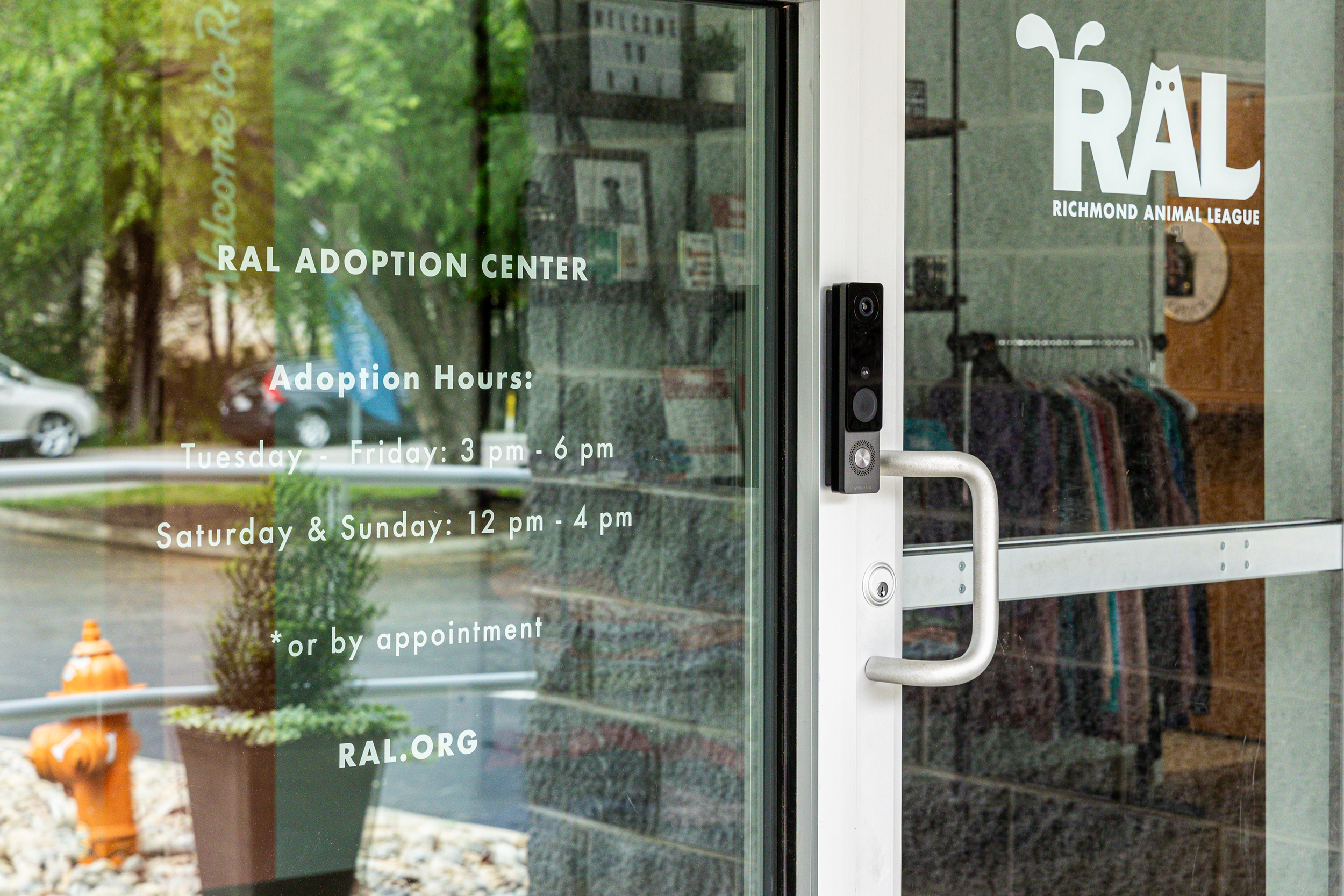 Richmond Animal League: Heartfelt Visuals for the Super Heroes of ...