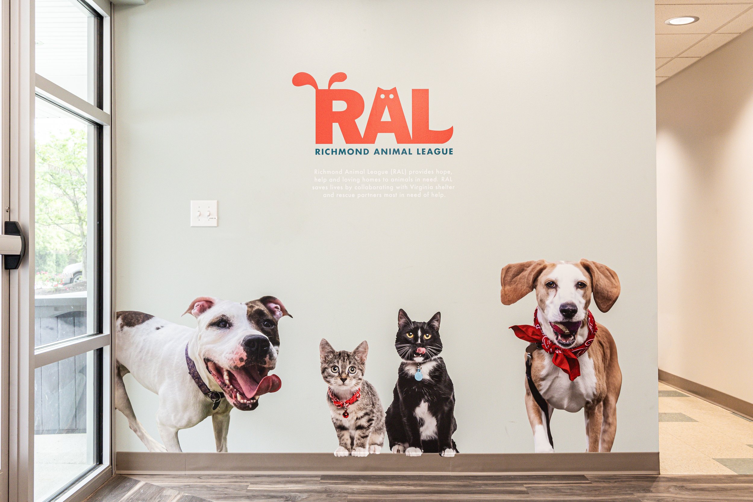 Richmond Animal League: Heartfelt Visuals for the Super Heroes of ...