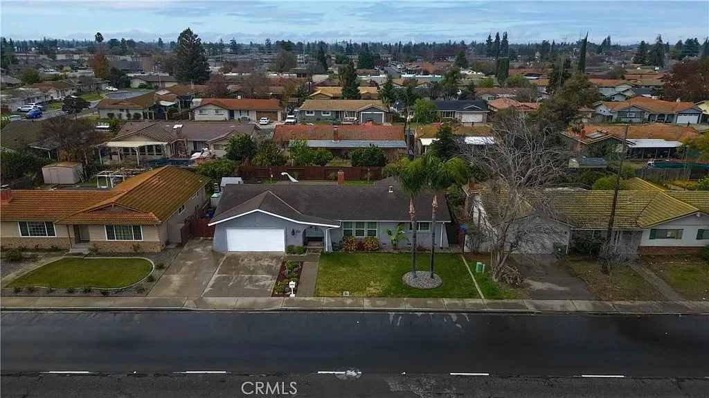 3301 Olive_7d07d0ca35810adfbabc19897775b51a-uncropped_scaled_within_1536_1152.jpeg