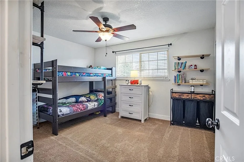 3301 Olive_17ae39cd11fd311f2b2aa20fc2af0ec4-uncropped_scaled_within_1536_1152.jpeg