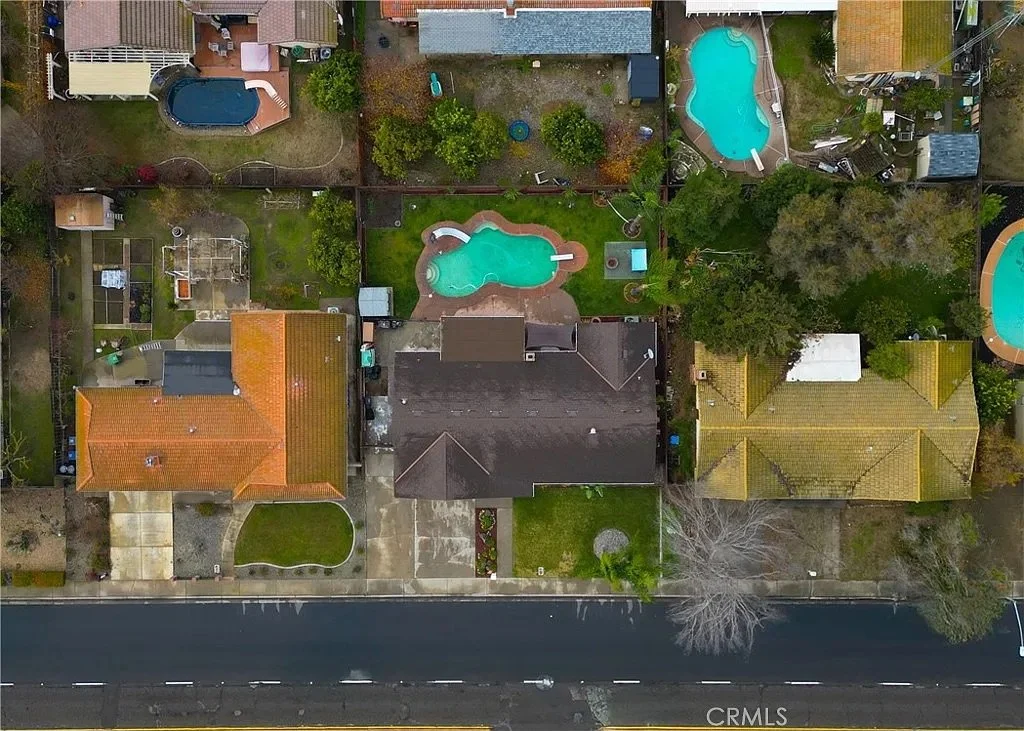 3301 Olive_e8b6fb2eb7b2710797812c7820717aa7-uncropped_scaled_within_1536_1152.jpeg