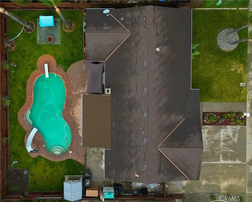 3301 Olive_e704e442206de5555a2e3f07acd6b73c-uncropped_scaled_within_1536_1152.jpeg