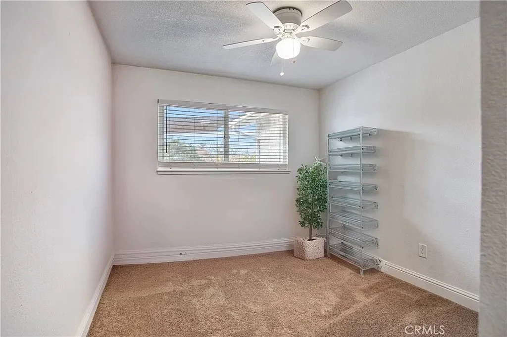 3301 Olive_ed8aea9e0e972aac3d3d04b2e09d91d3-uncropped_scaled_within_1536_1152.jpeg