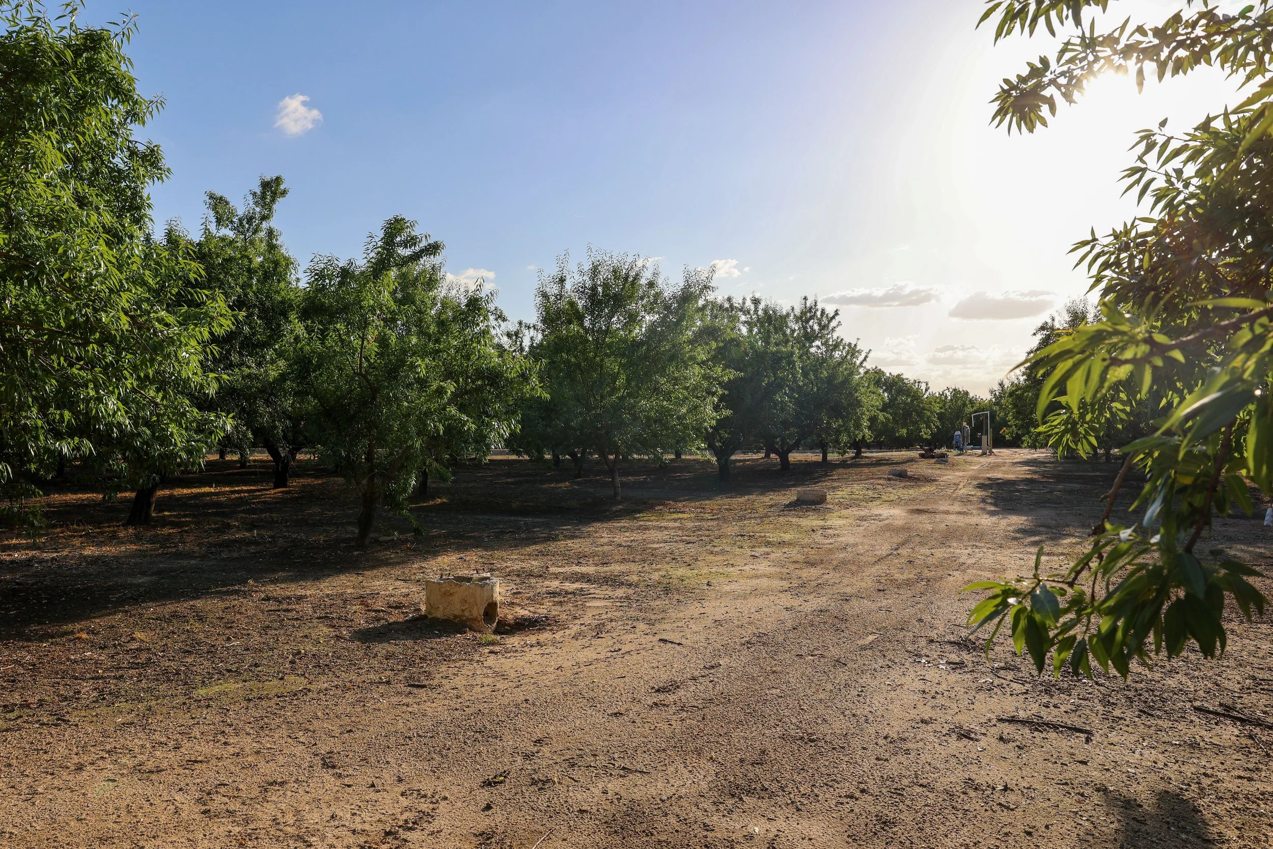Fagundes McSwain Ranch_61.jpg