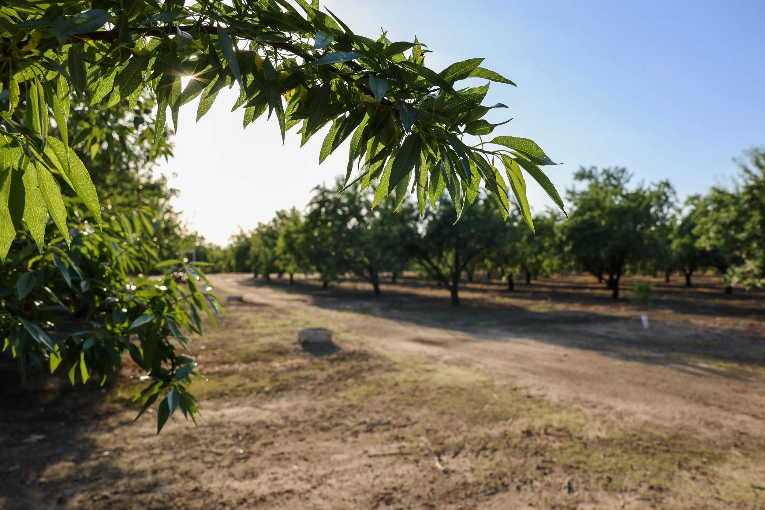 Fagundes McSwain Ranch_63.jpg