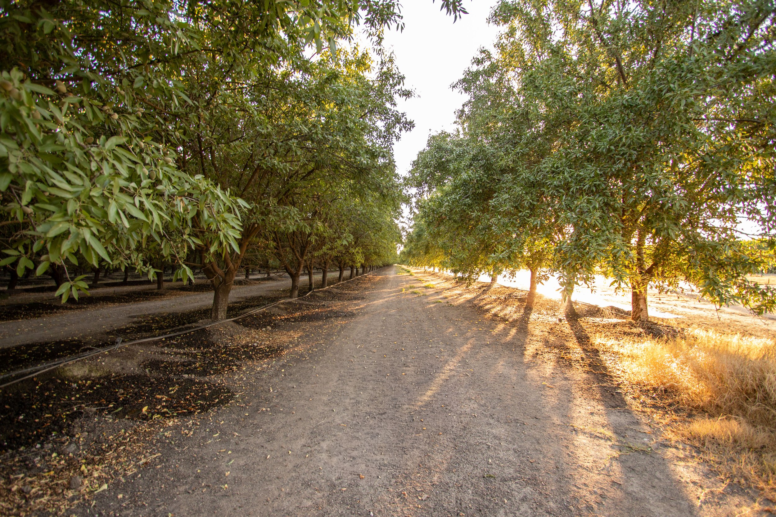 Merced County Tier 1_13.jpg