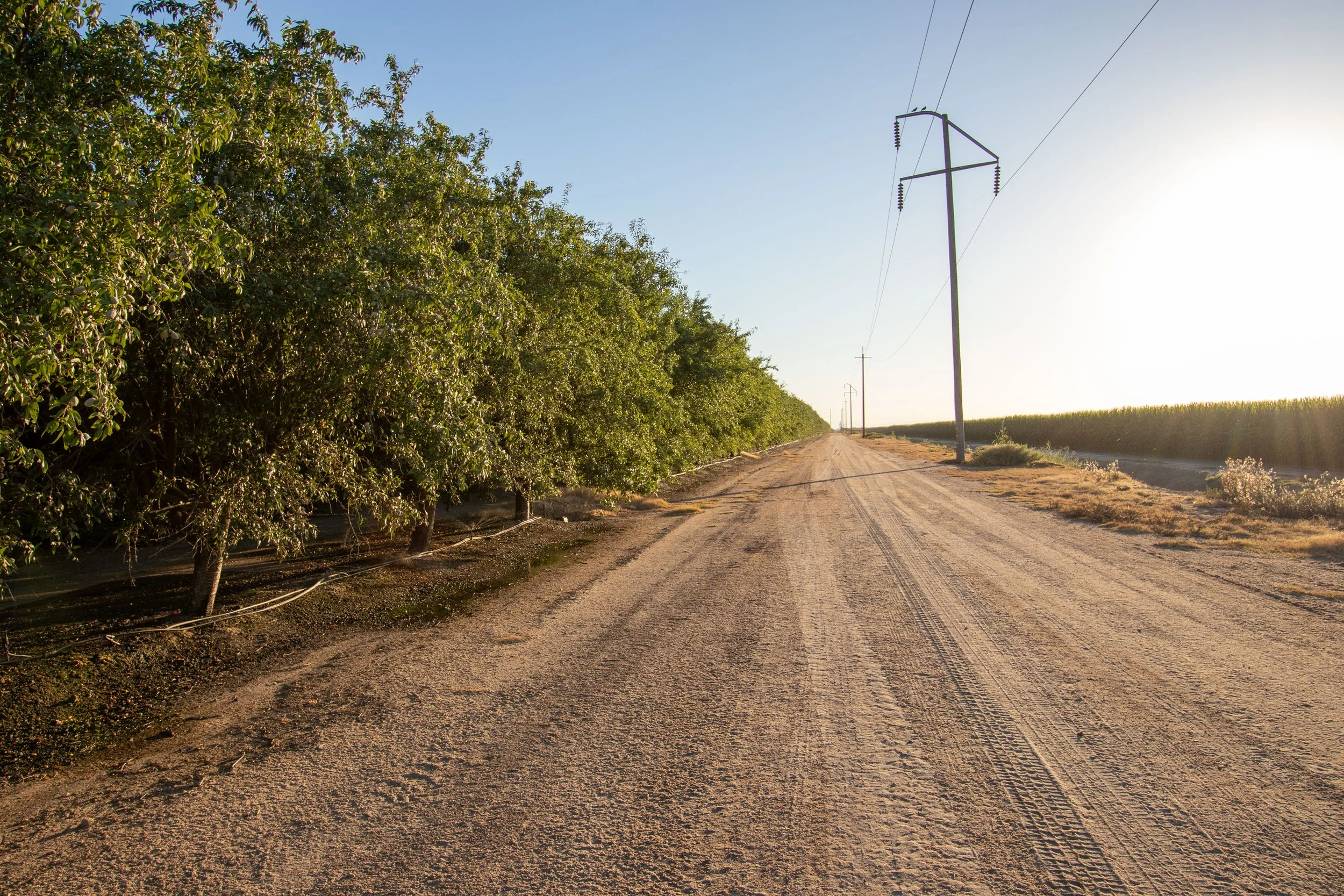 Merced County Tier 1_14.jpg