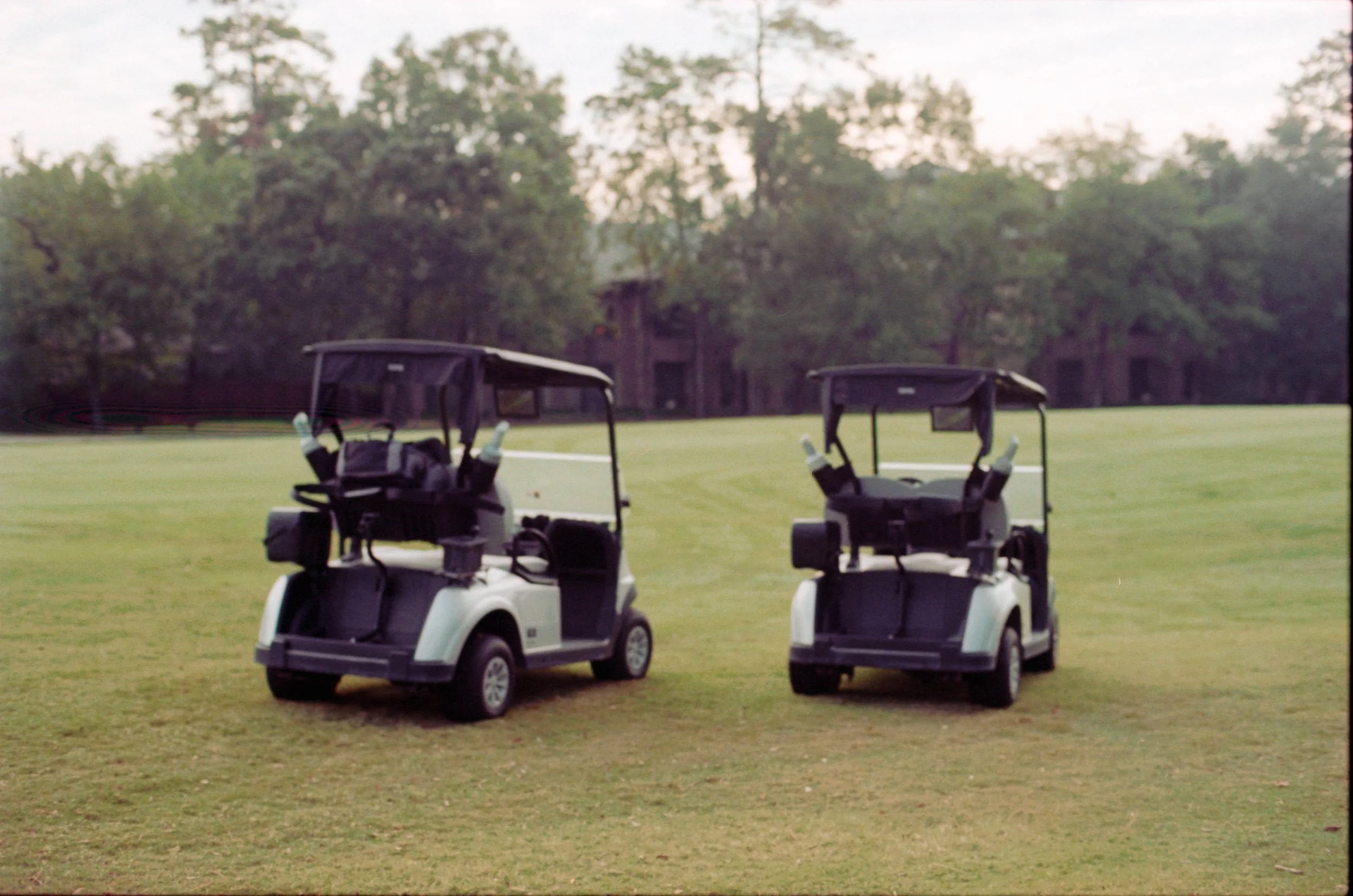 Dream Delight Discover | The Woodlands Resort | Behind The Scenes