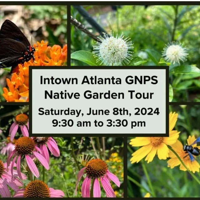 If we were not on vacation this weekend, this is where we would be! INSPIRATION + COMMUNITY https://gnps.org/intown-atlanta-gnps-native-garden-tour/
