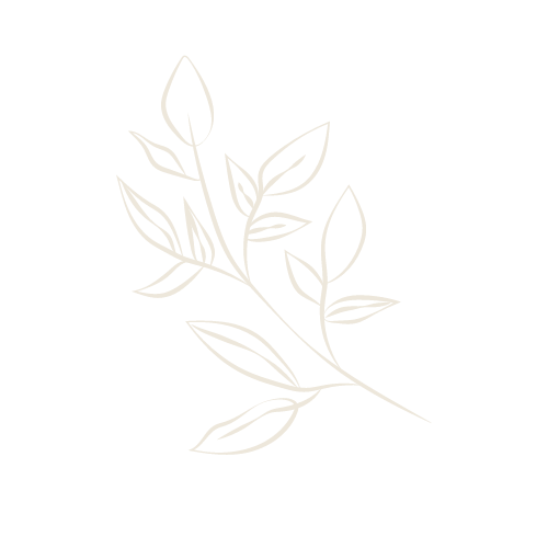 A simple white line drawing of a leafy plant on a black background.