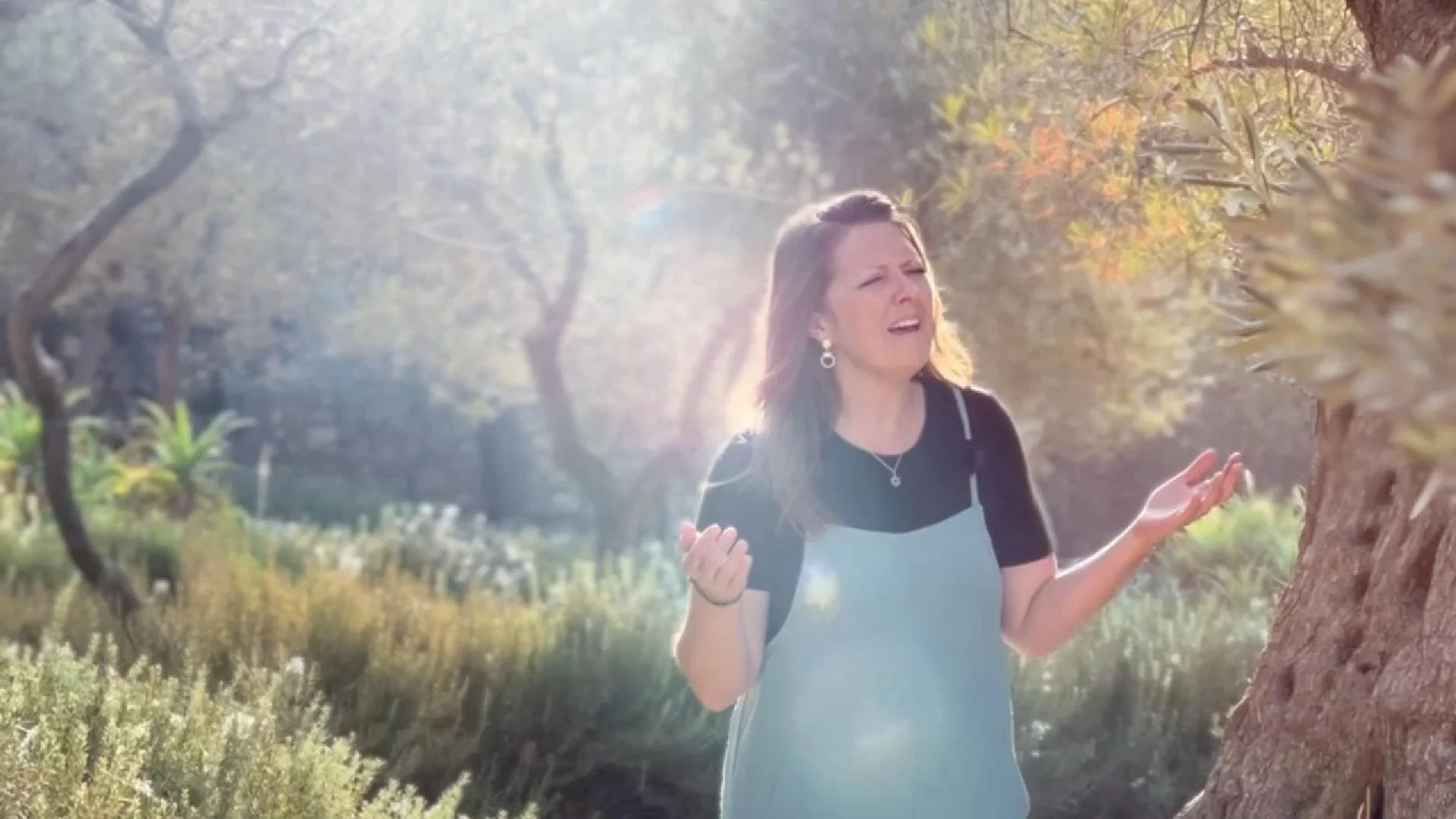 The Garden_website_short clip-Cover.jpg